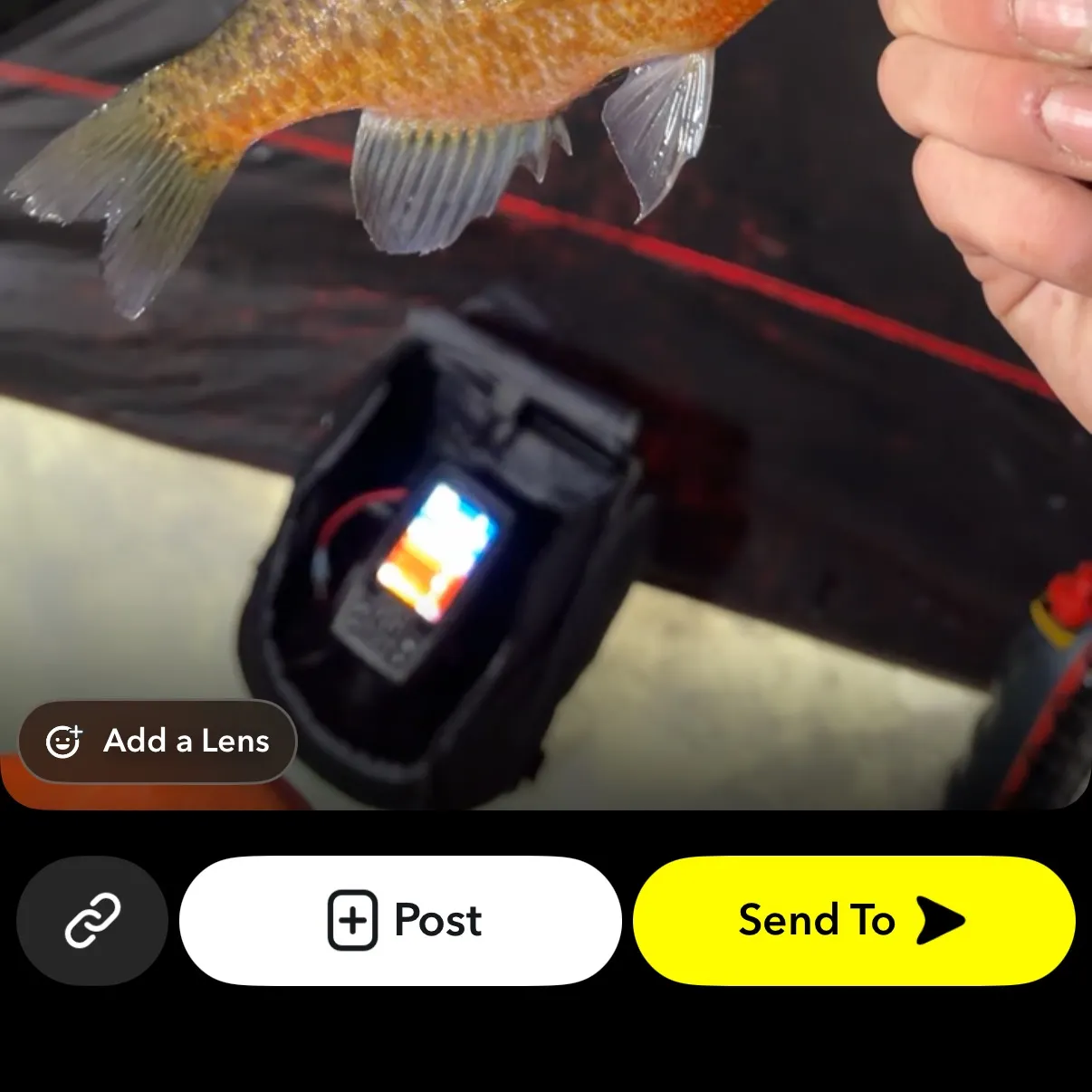 The most recent Pumpkingill hybrid catches on Fishbrain