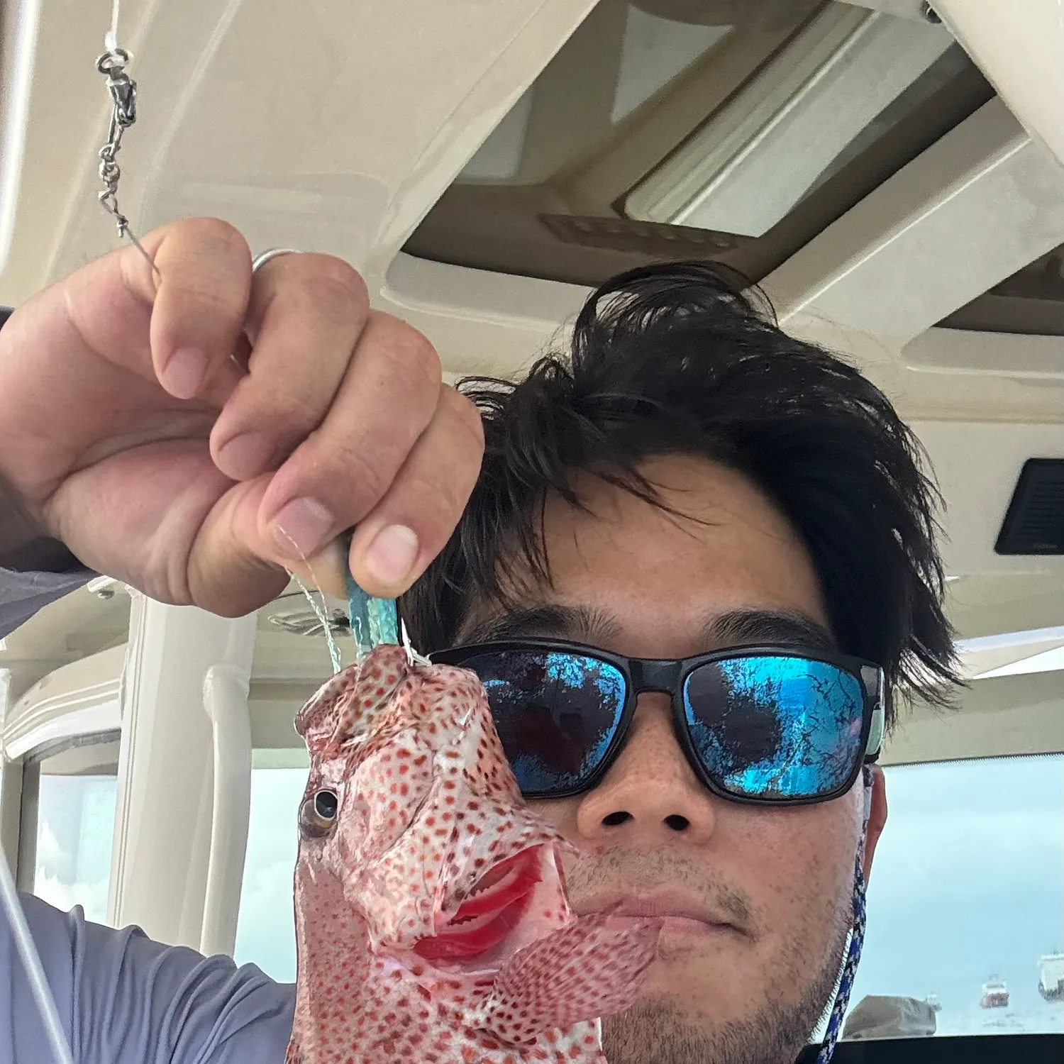 The most recent Graysby grouper catches on Fishbrain