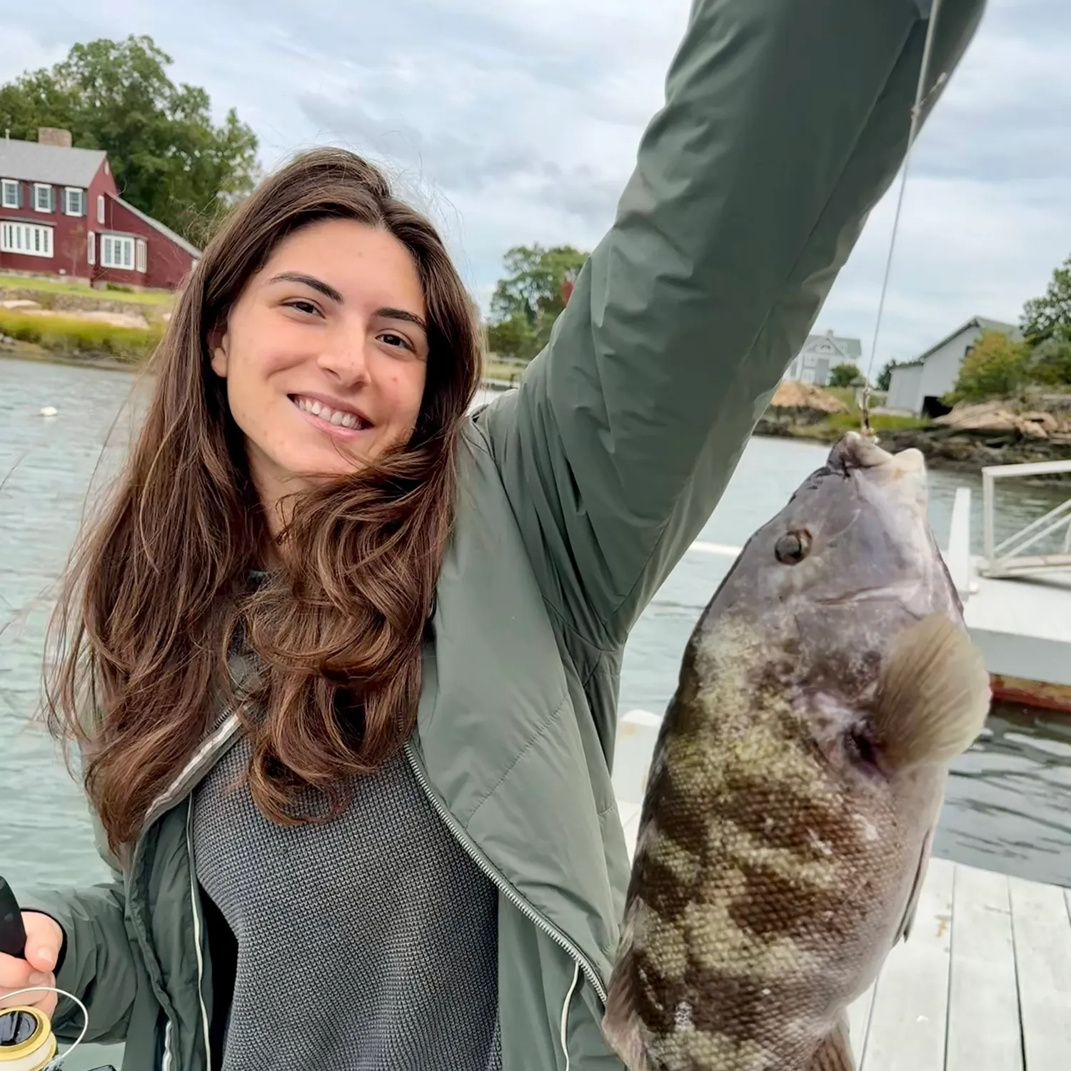 Tautog caught on Fishbrain