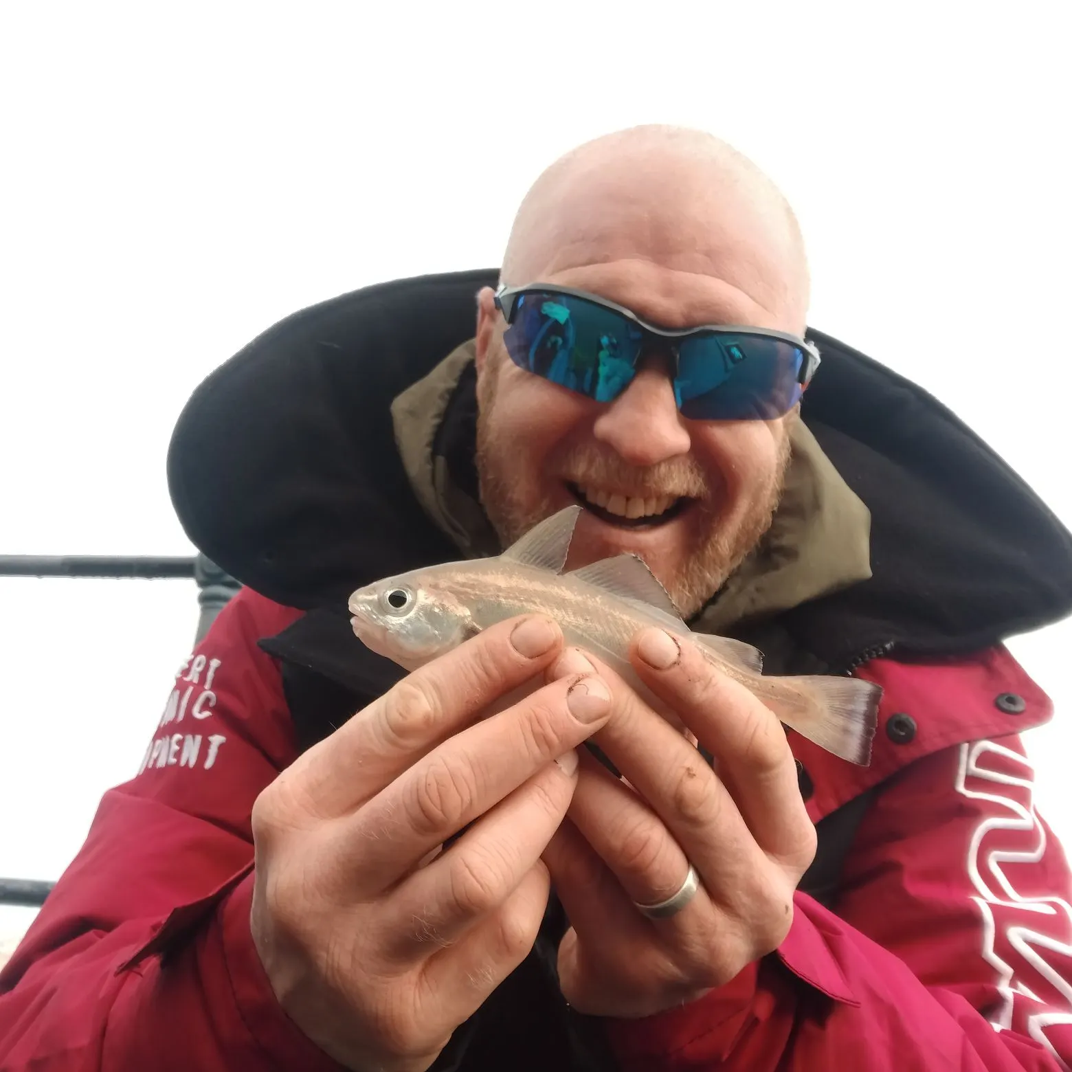 The most recent Pouting catches on Fishbrain