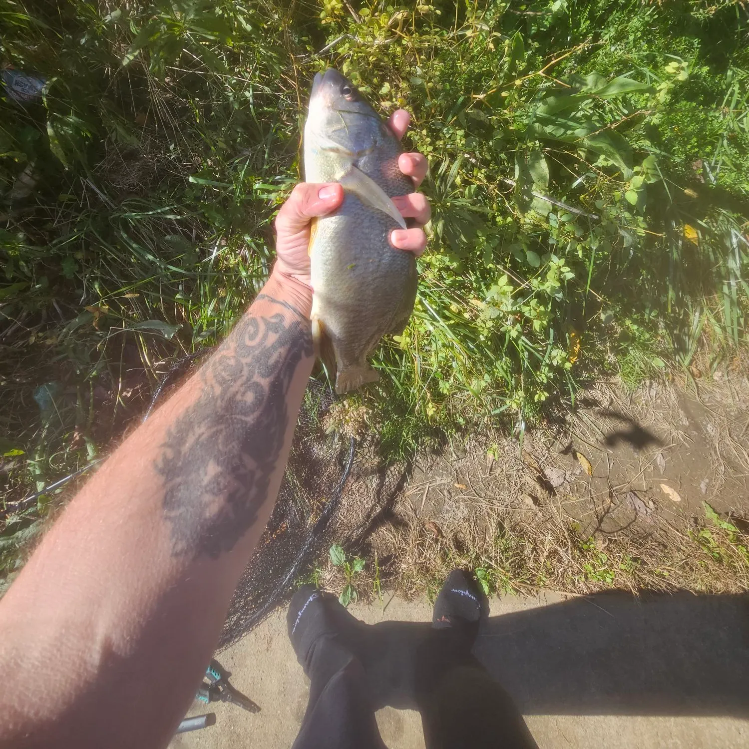 catch