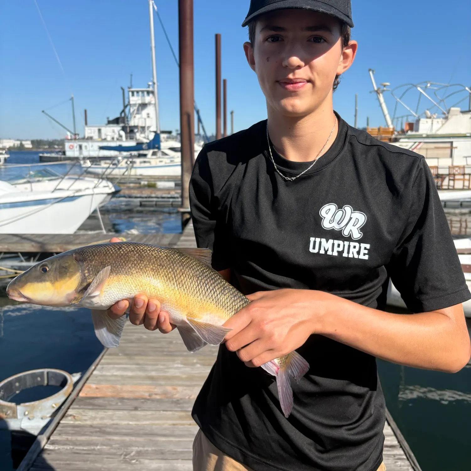 Largescale sucker caught on Fishbrain