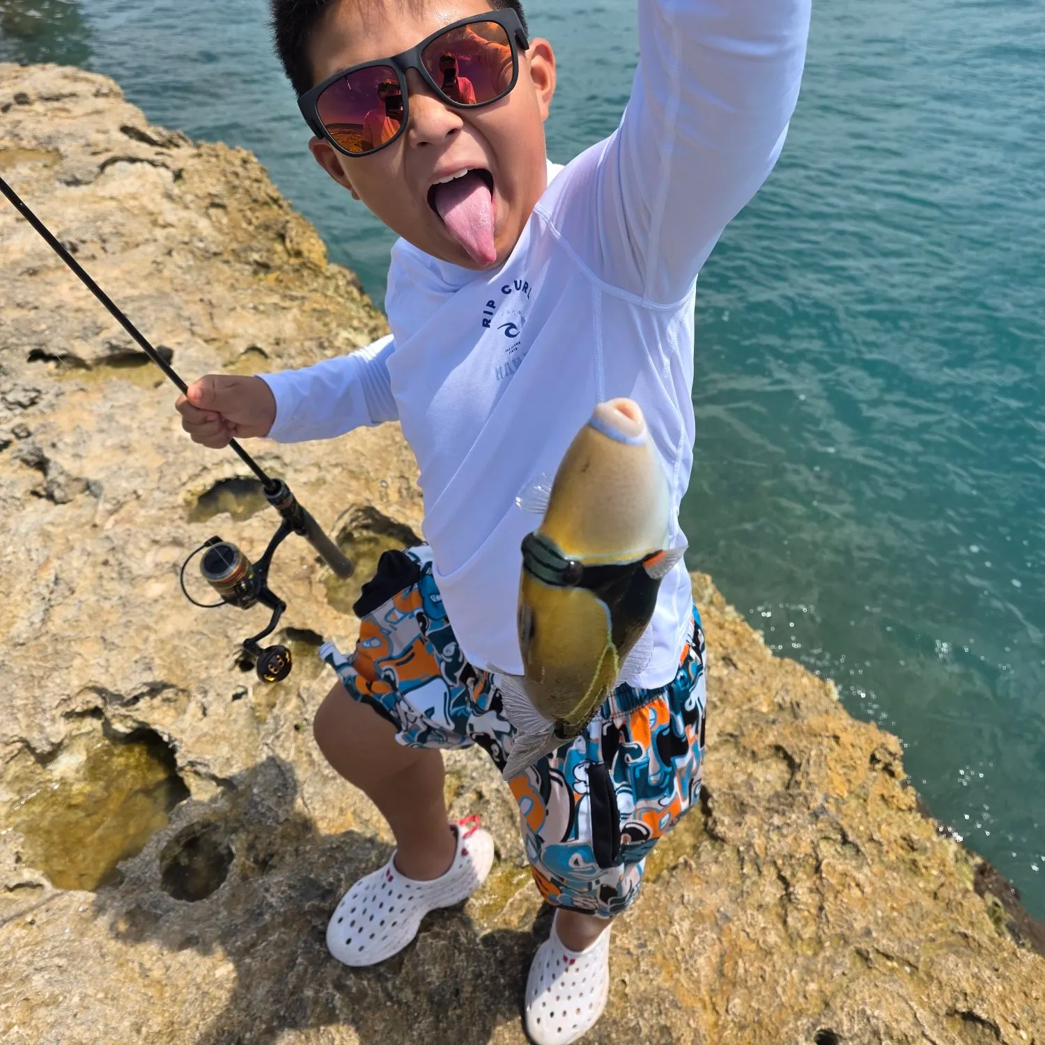 Wedge-tail triggerfish caught on Fishbrain