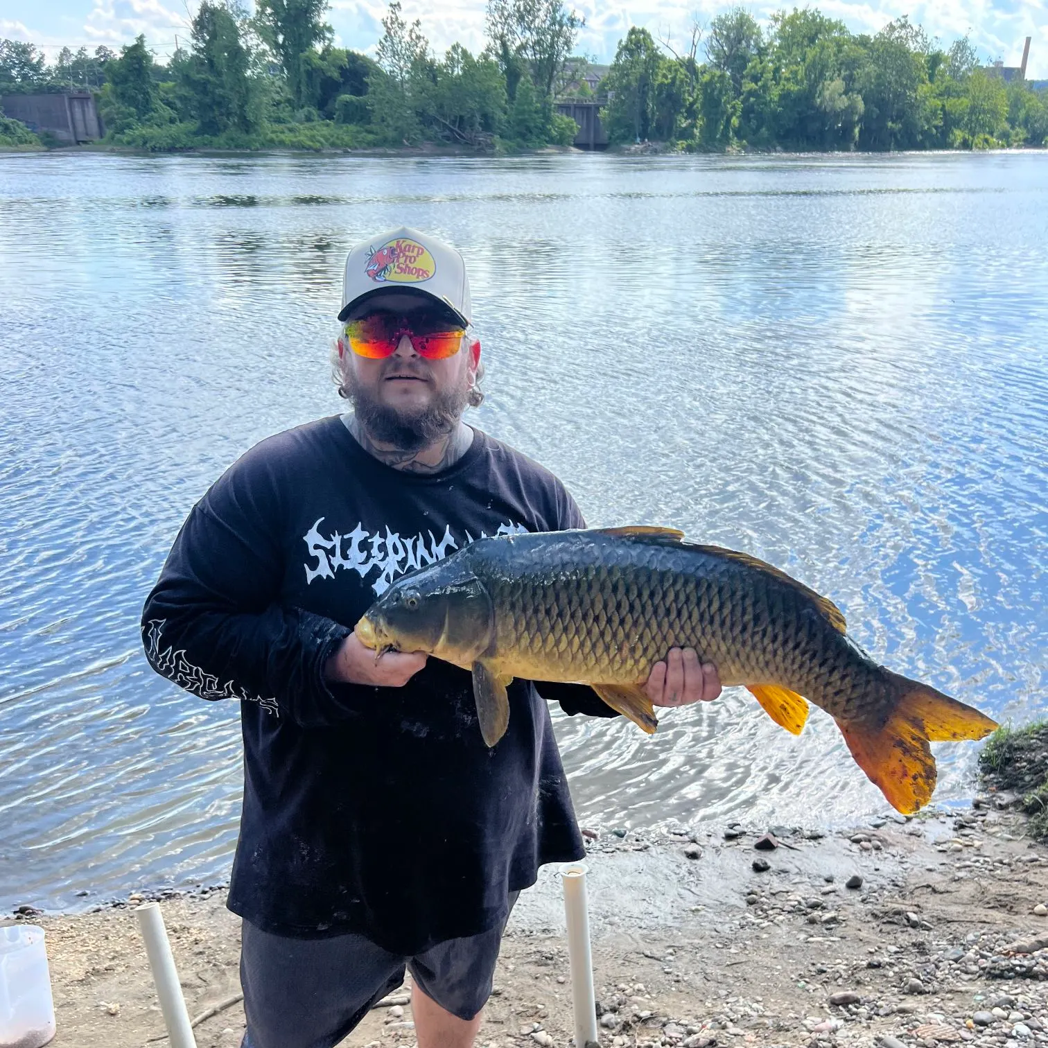 Common carp caught on Fishbrain