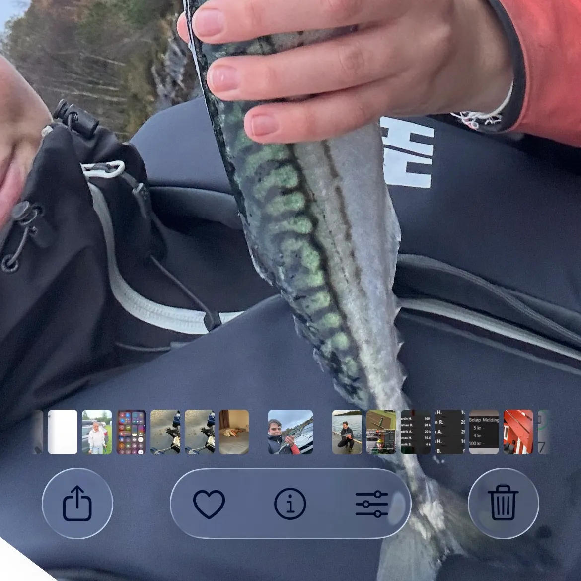 recently logged catches