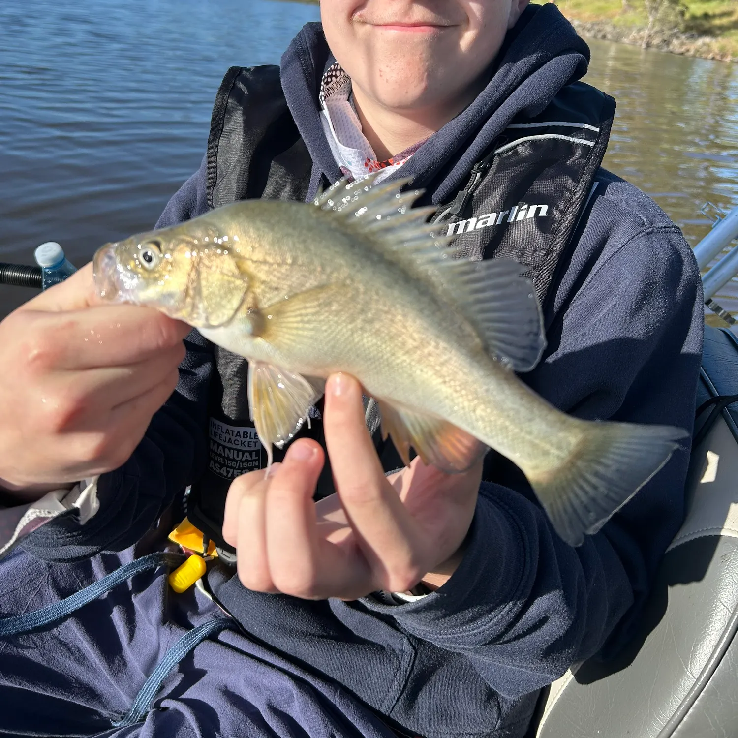The most recent Golden perch catches on Fishbrain