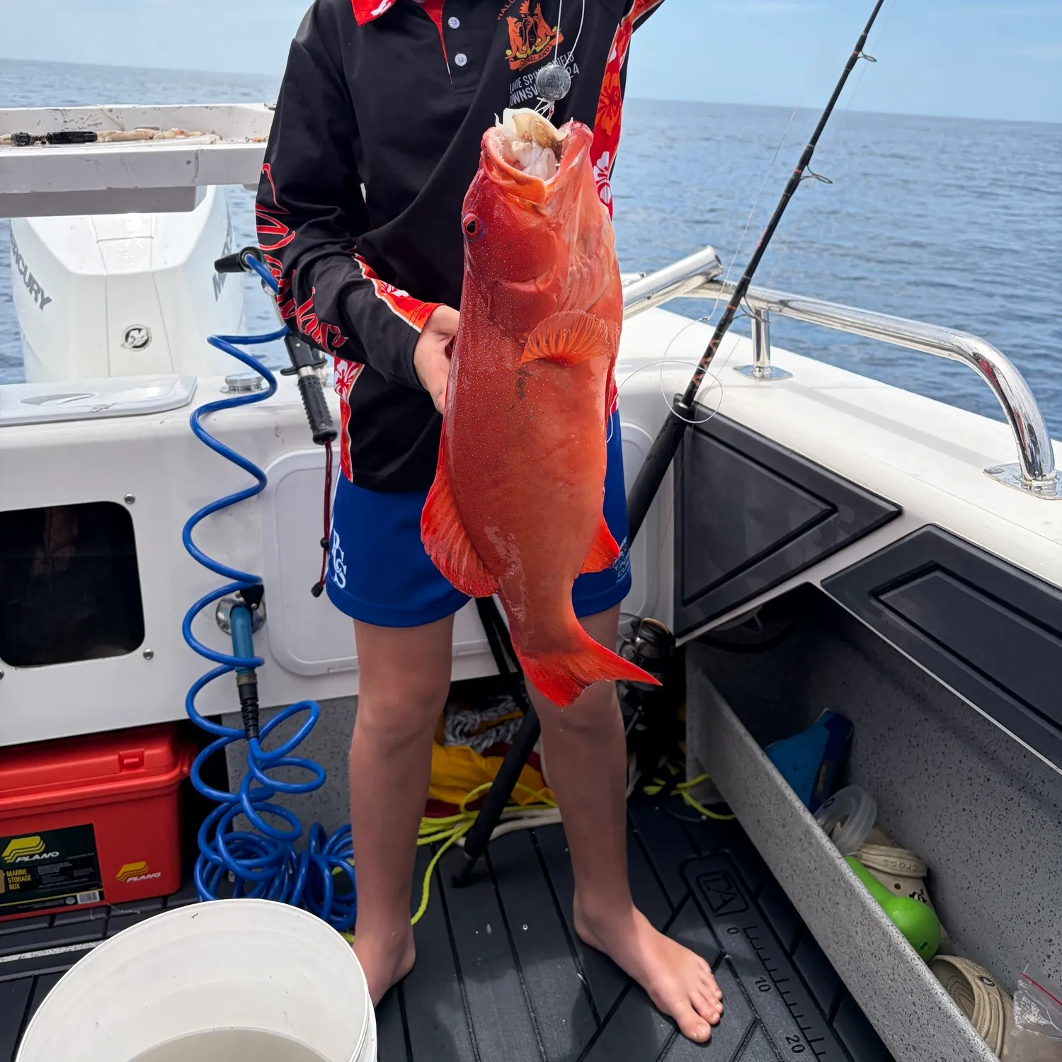 Leopard coralgrouper caught on Fishbrain