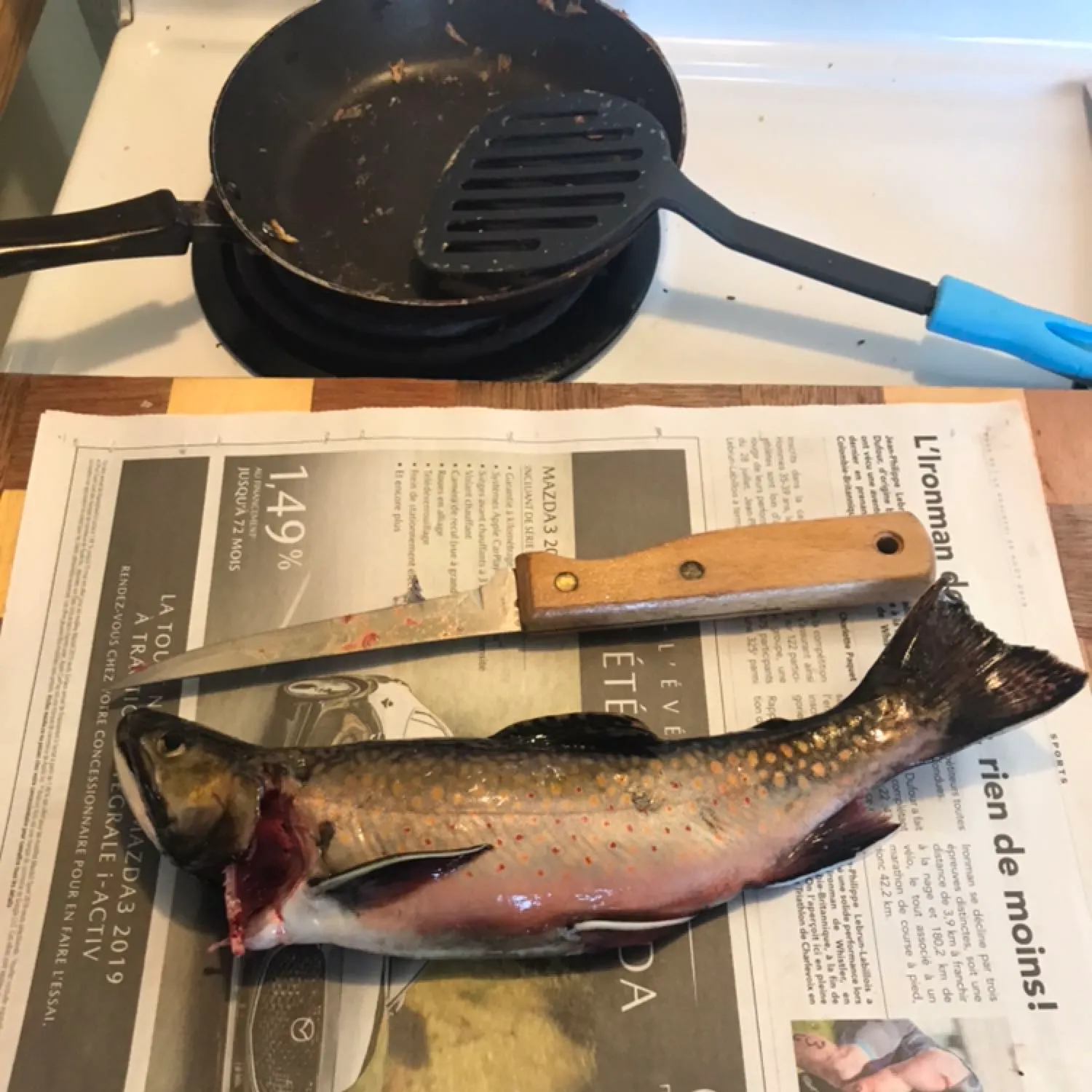 recently logged catches