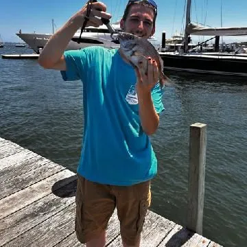 angler catch