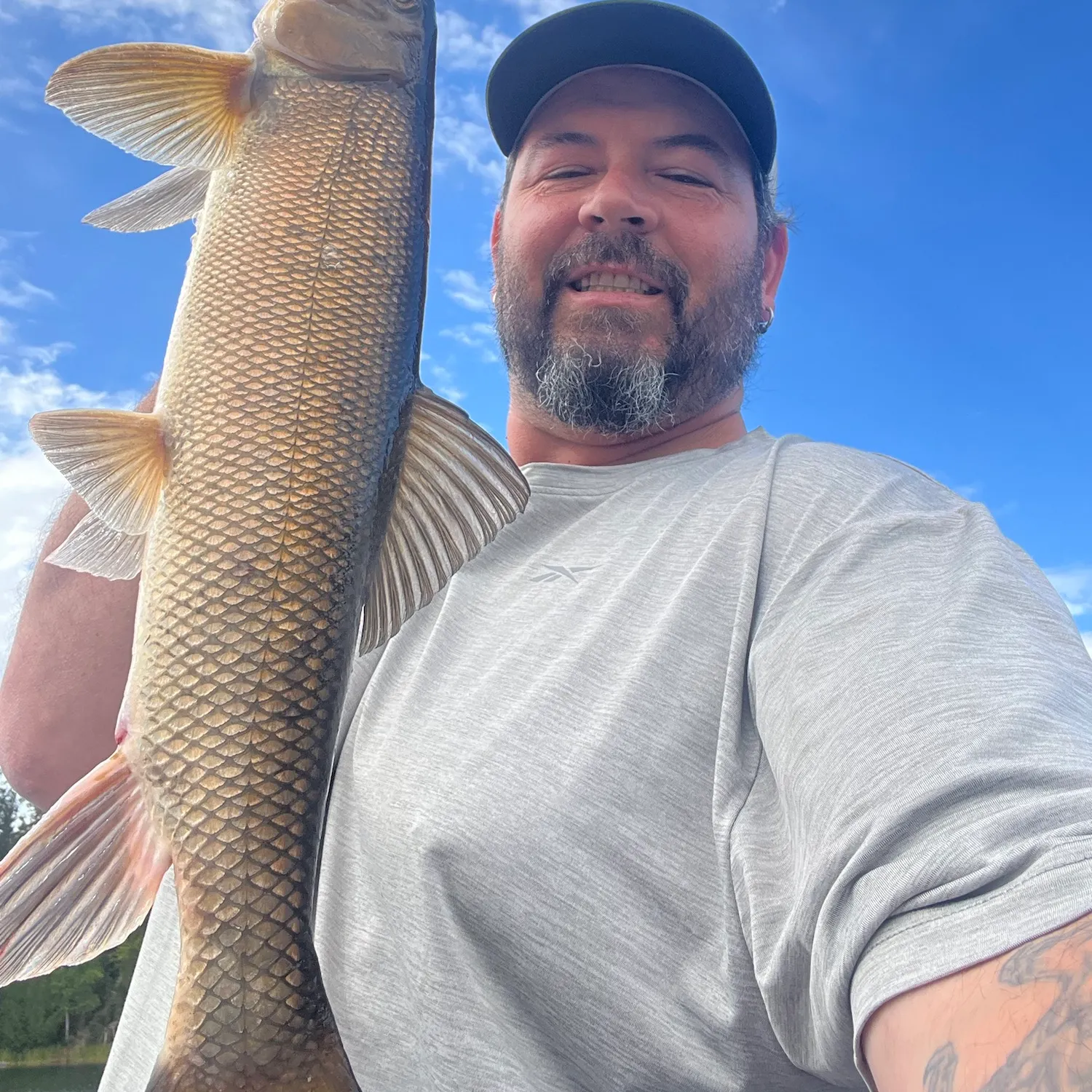 White sucker caught on Fishbrain
