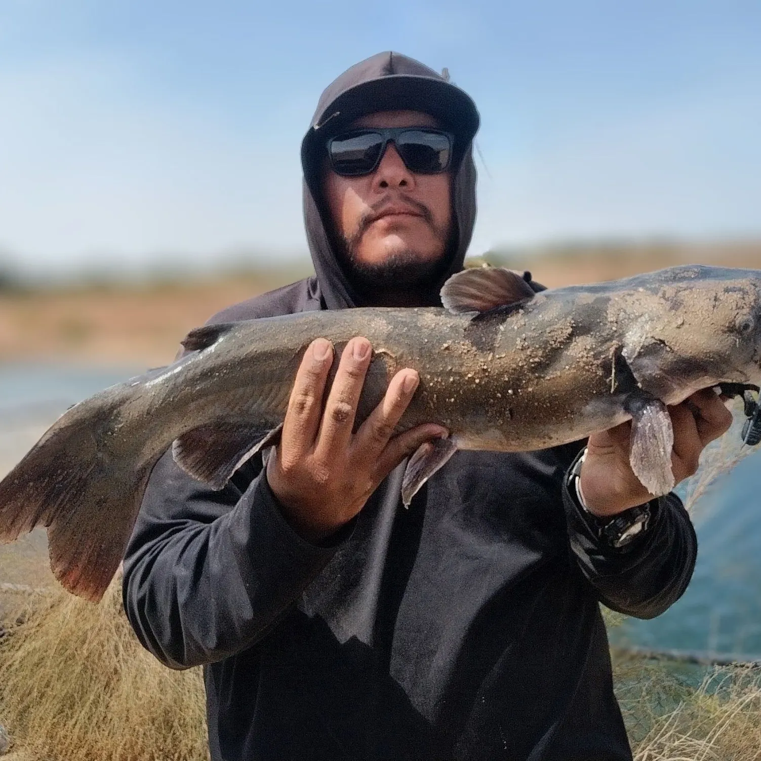 Channel catfish caught on Fishbrain