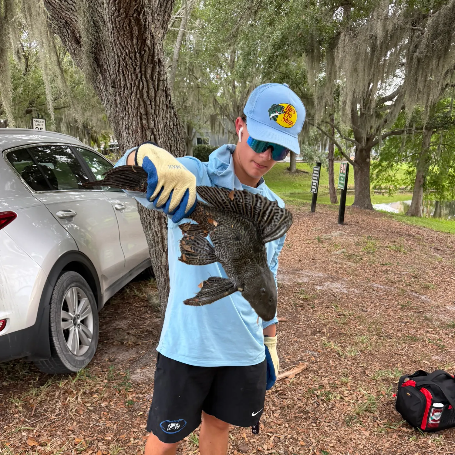 The most recent Suckermouth catfish catches on Fishbrain