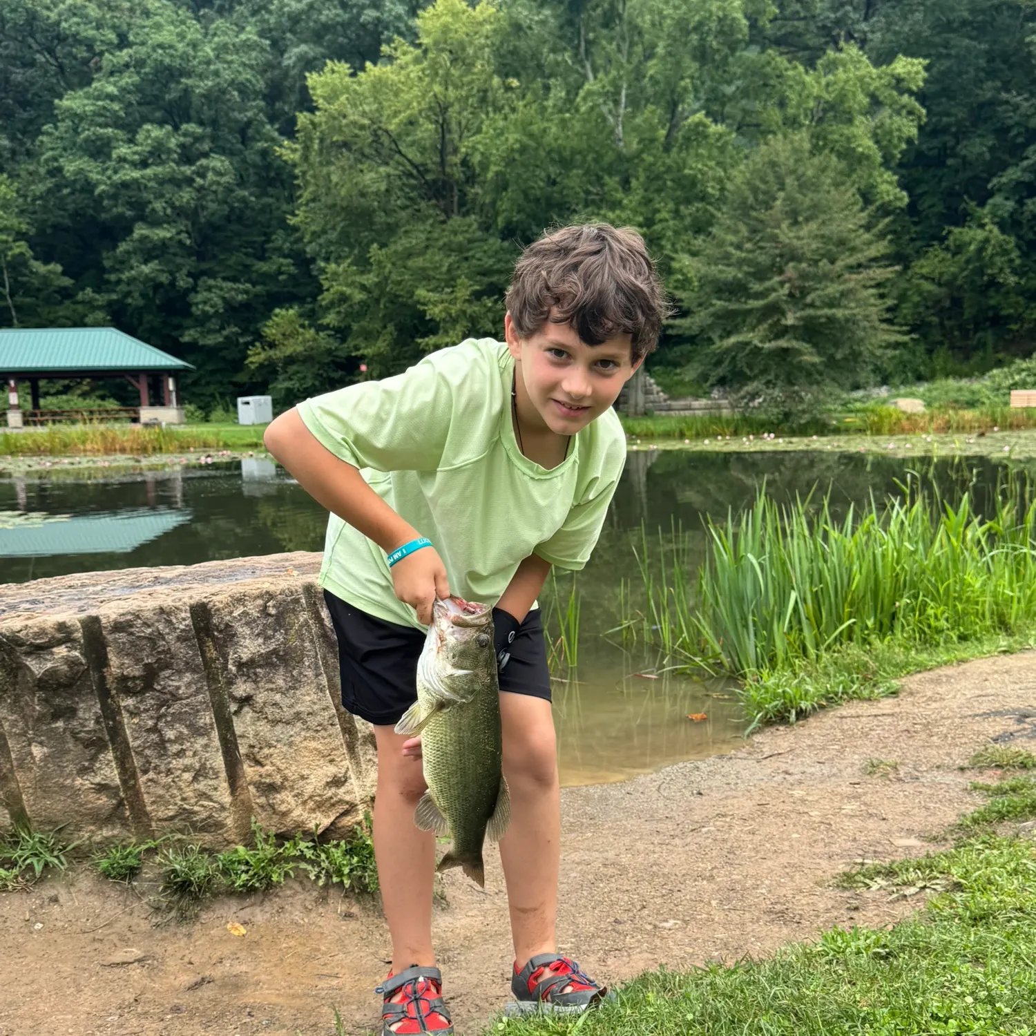 Largemouth bass caught on Fishbrain