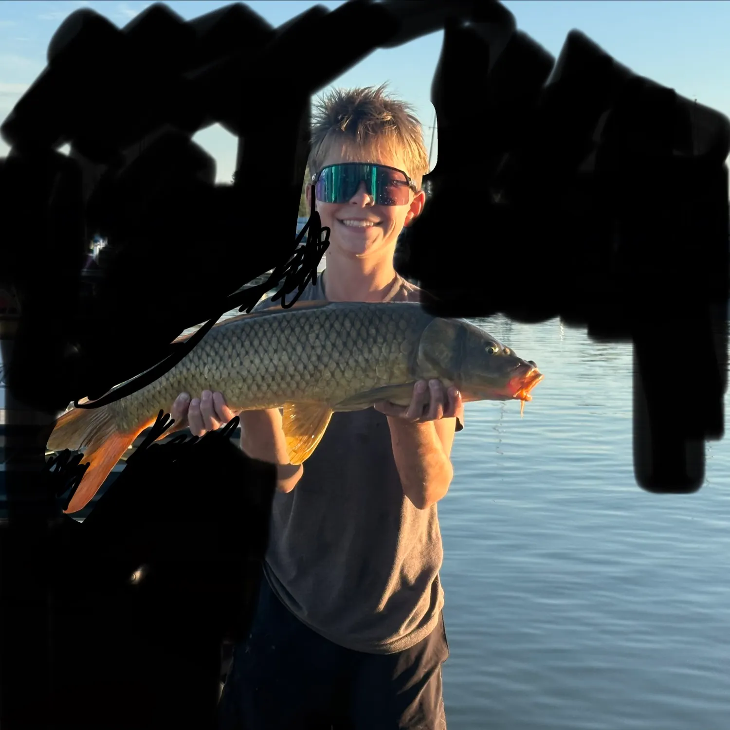 Common carp caught on Fishbrain