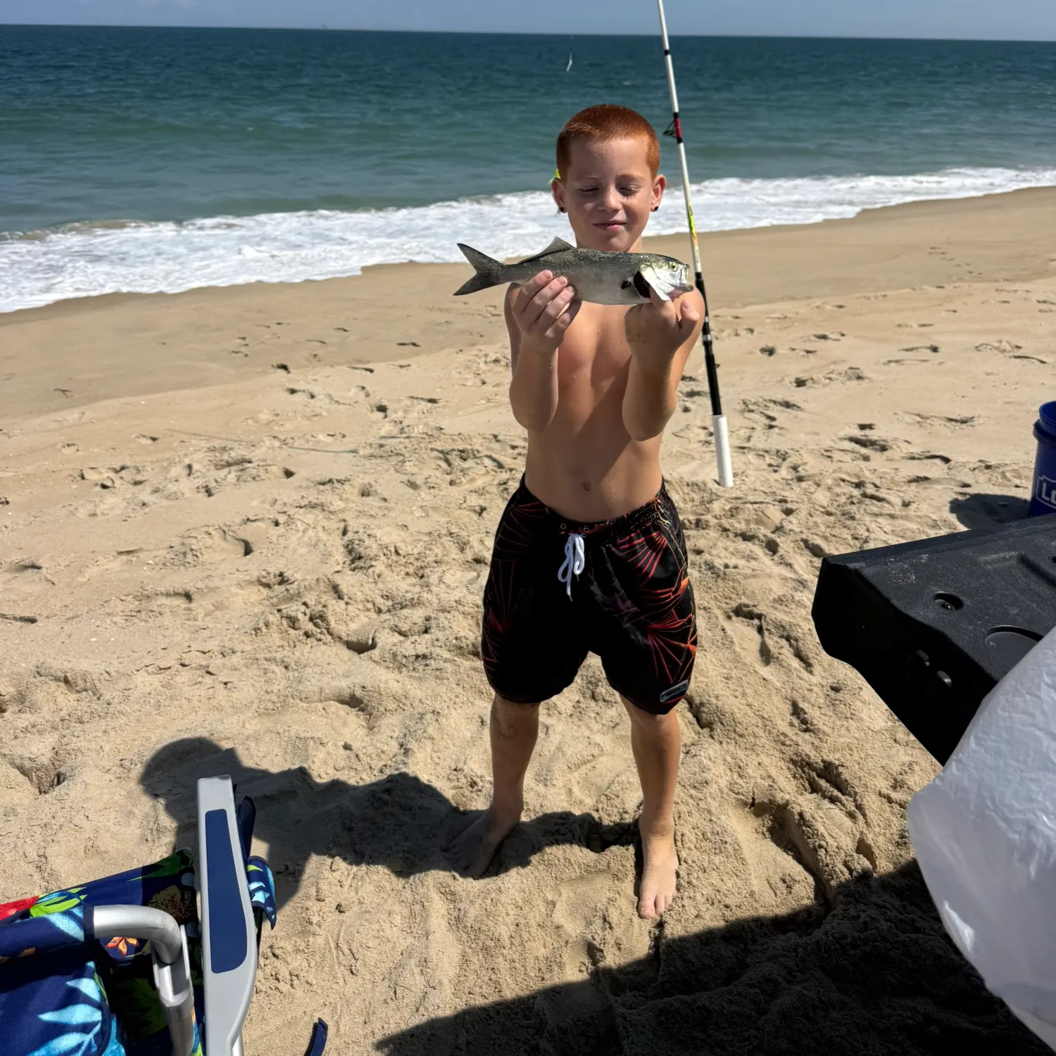 Bluefish caught on Fishbrain