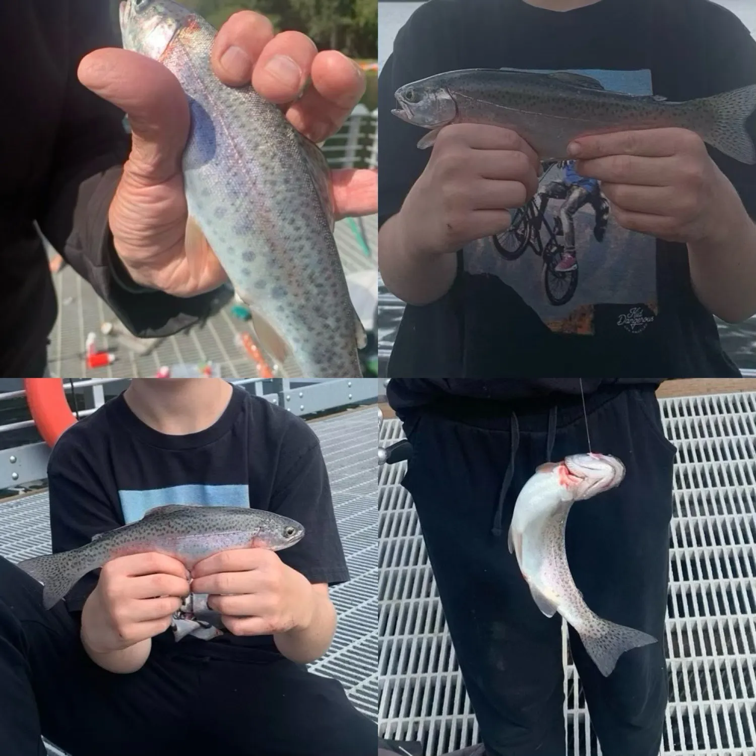 recently logged catches