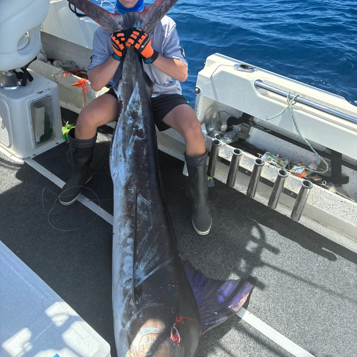 The most recent Striped marlin catches on Fishbrain
