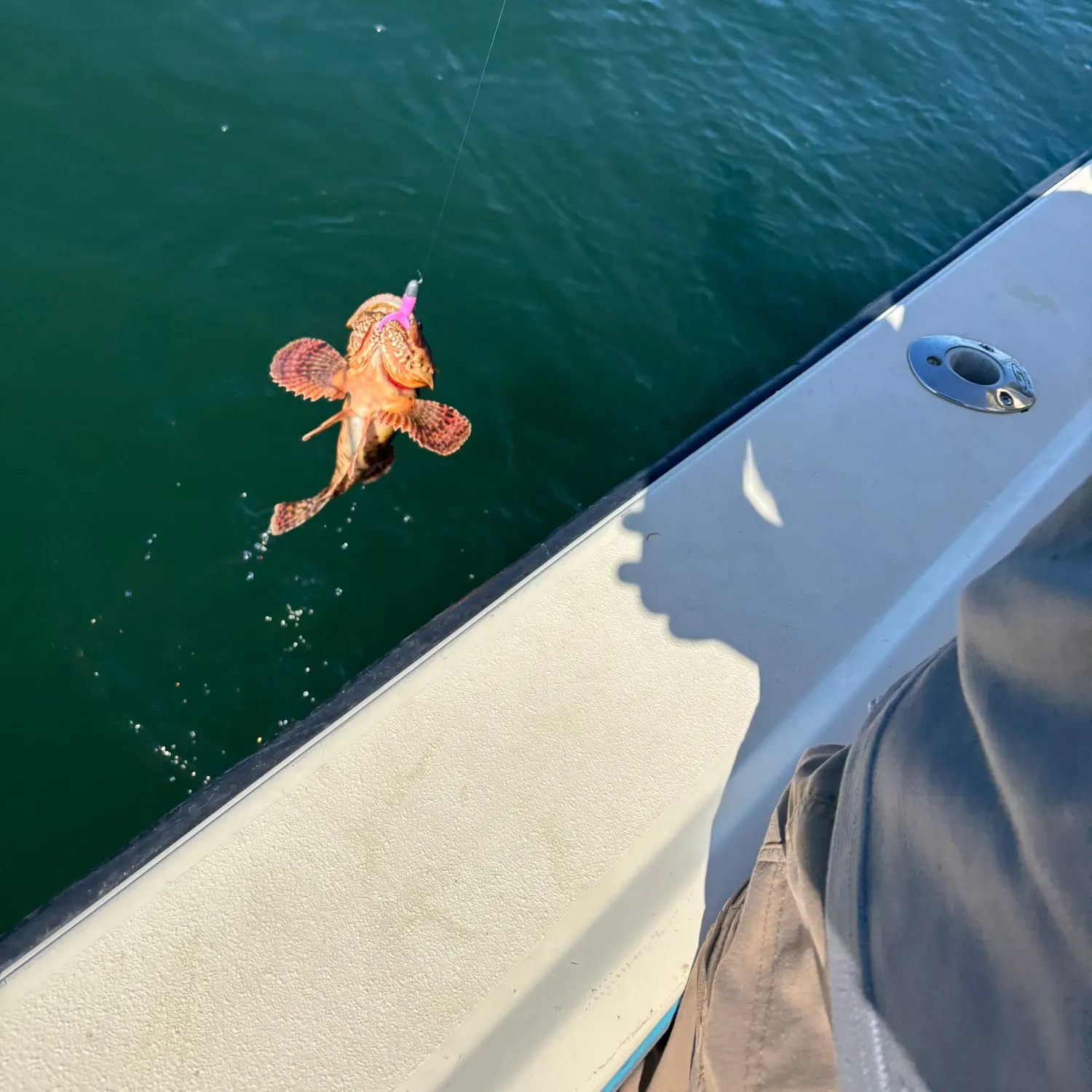 catch
