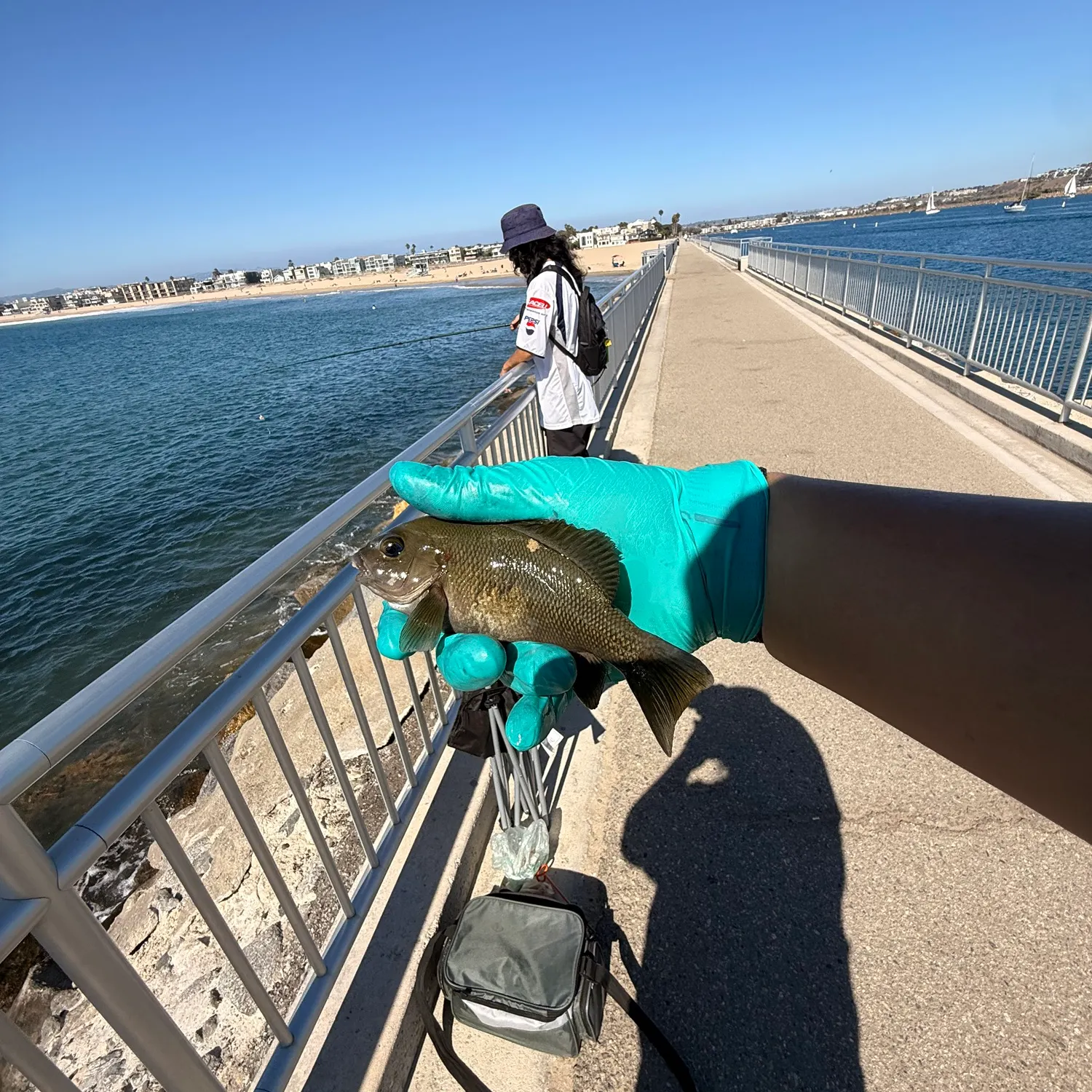 Fish caught on Fishbrain