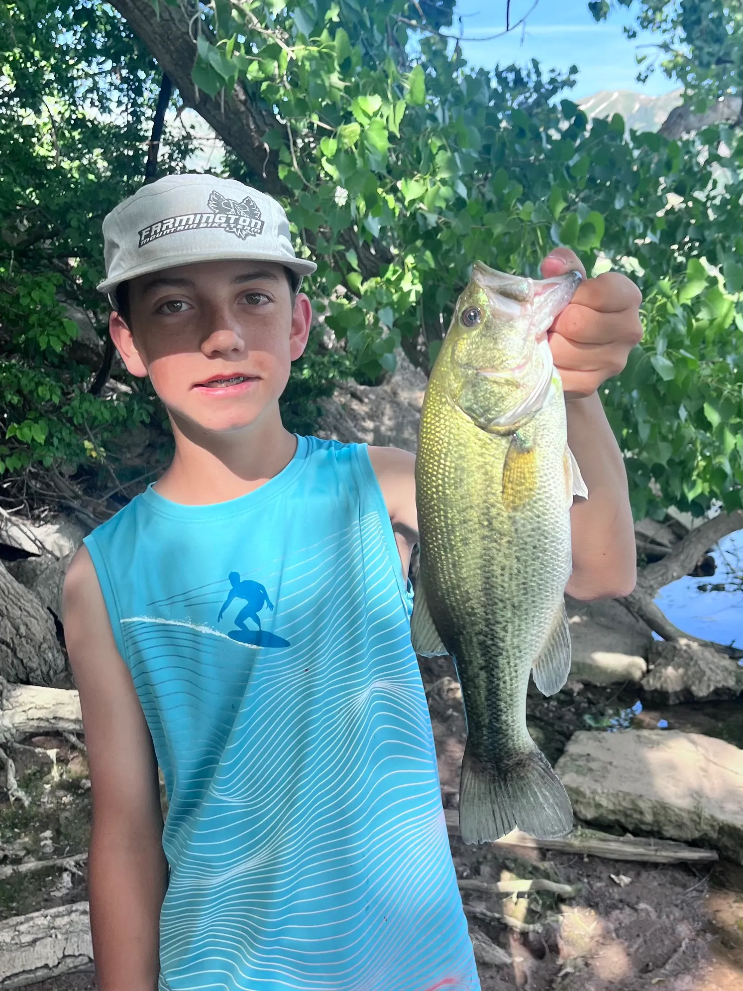 Everett Balls (bass Edition)