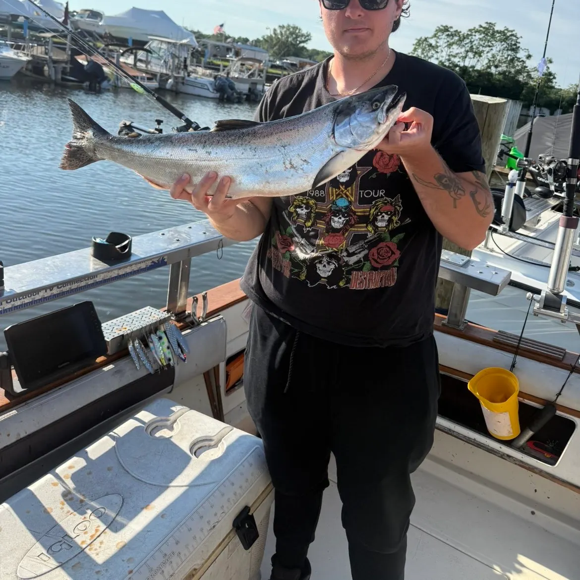 recently logged catches
