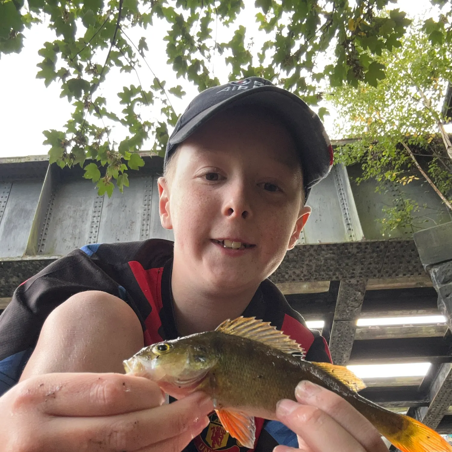 European perch caught on Fishbrain