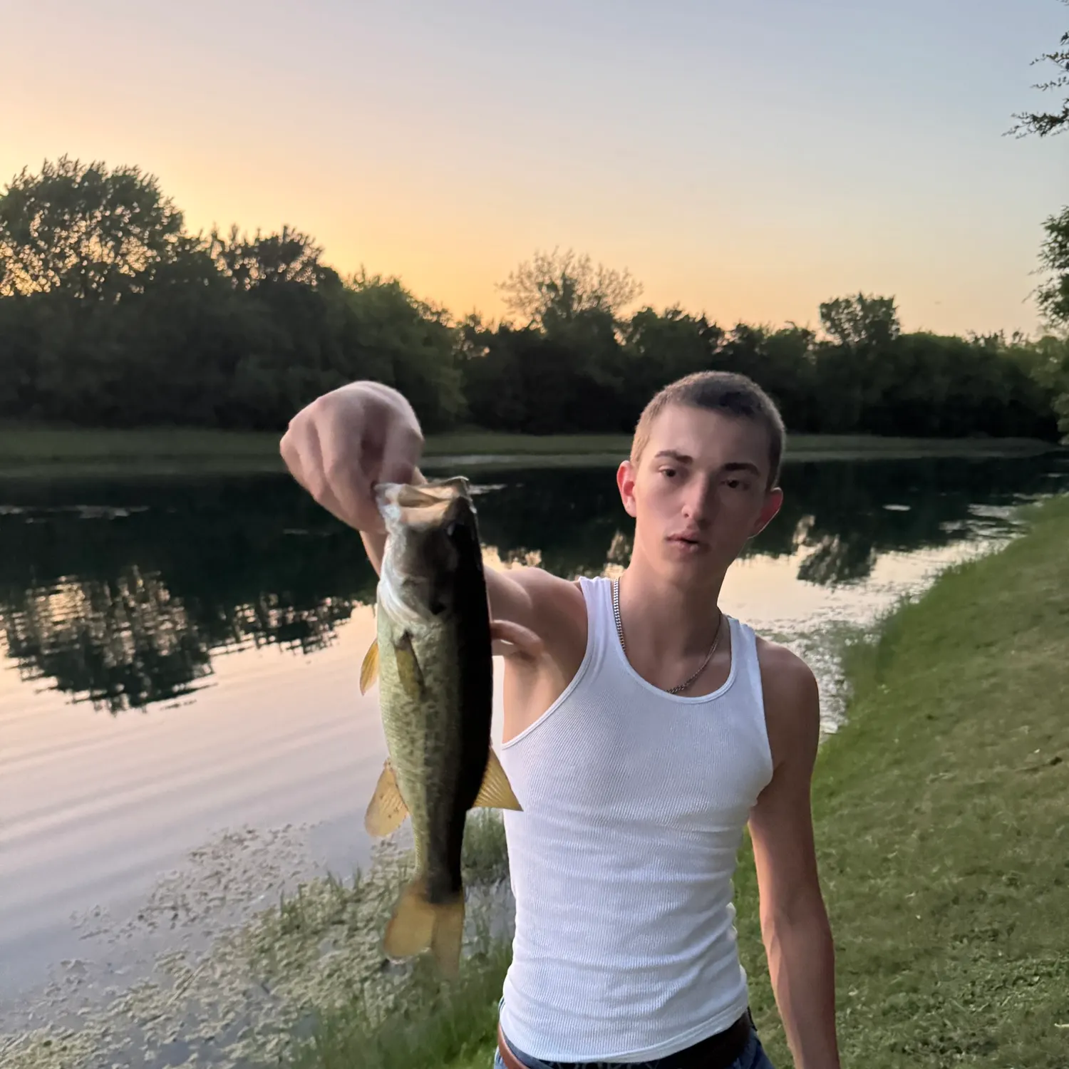 Largemouth bass caught on Fishbrain