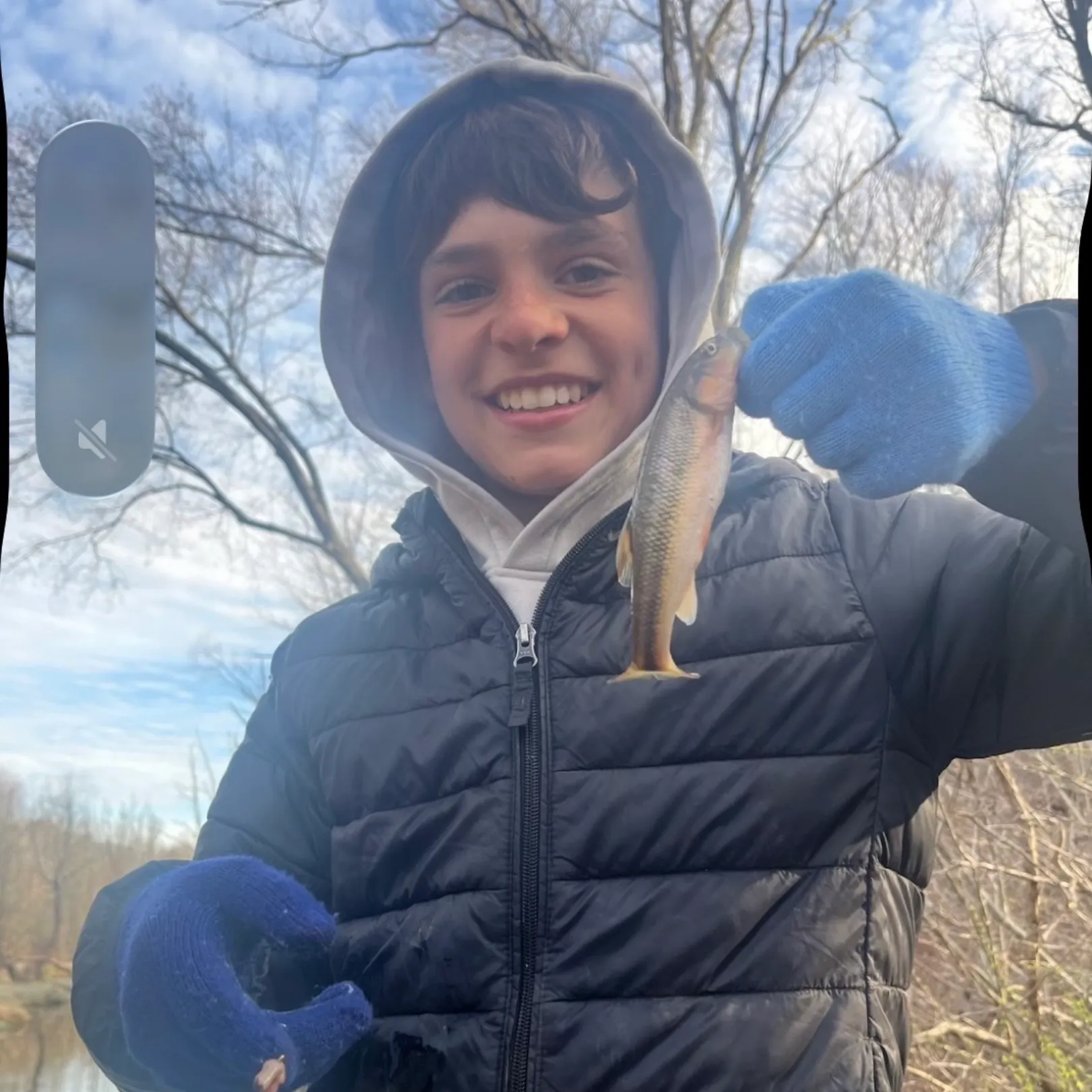 The most recent Creek chub catches on Fishbrain