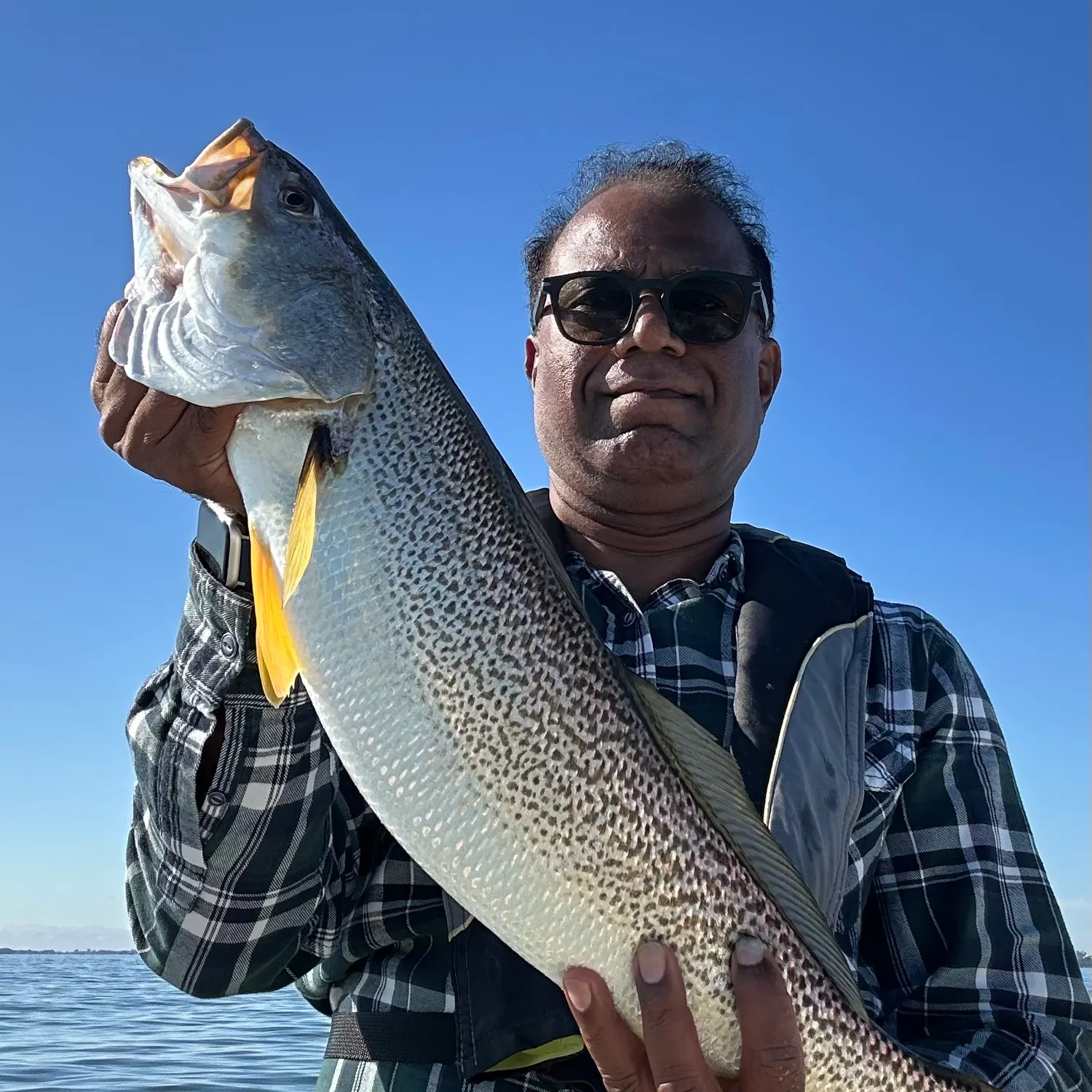 The most recent Gray weakfish catches on Fishbrain