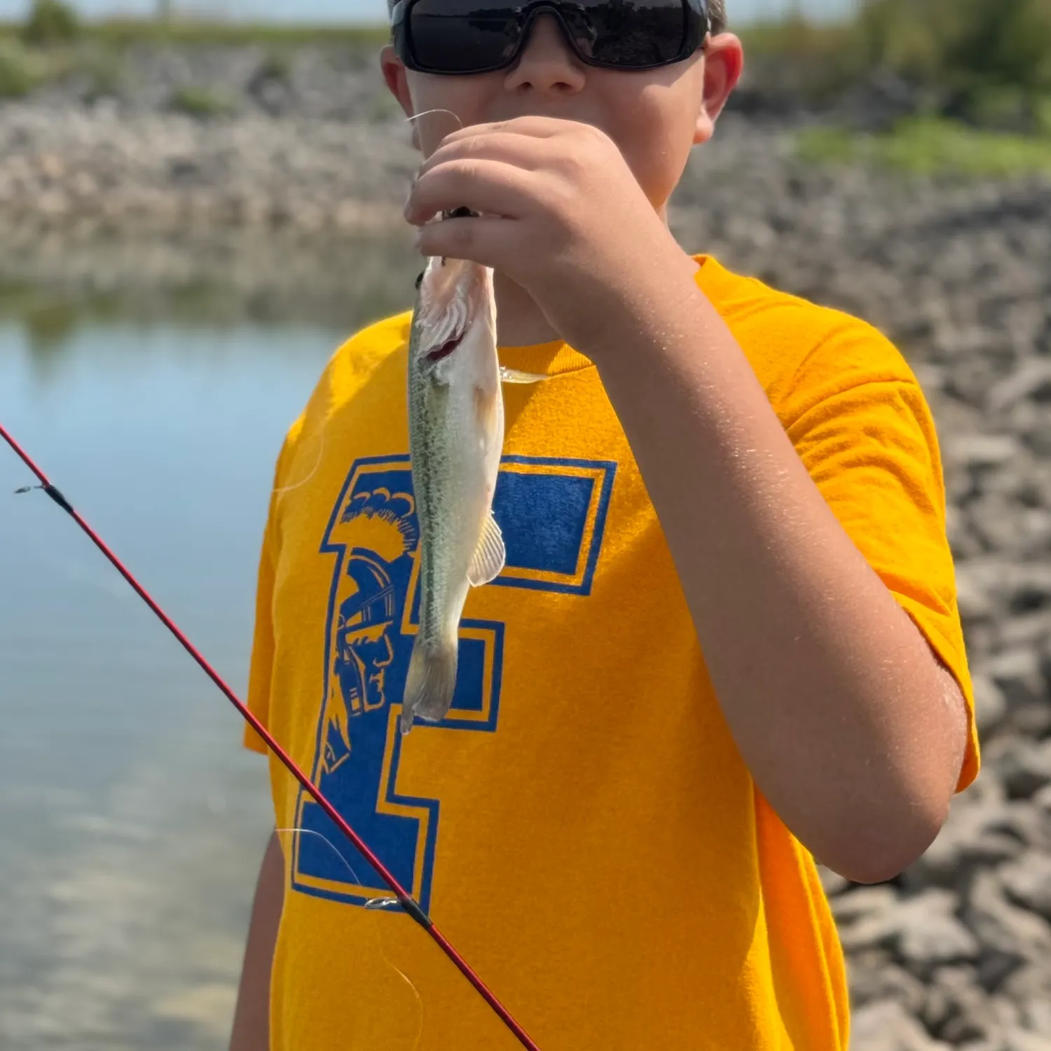 Largemouth bass caught on Fishbrain