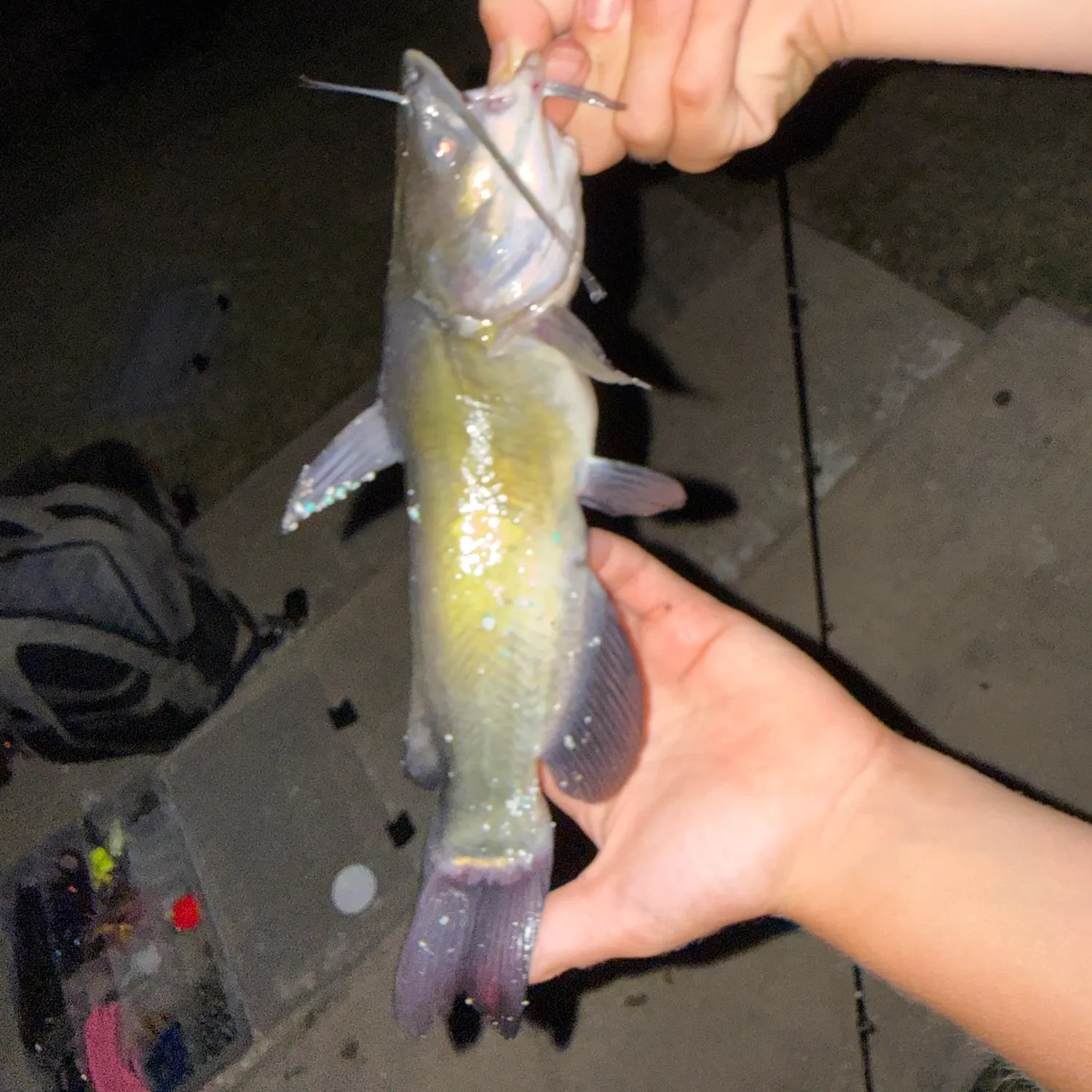 catch