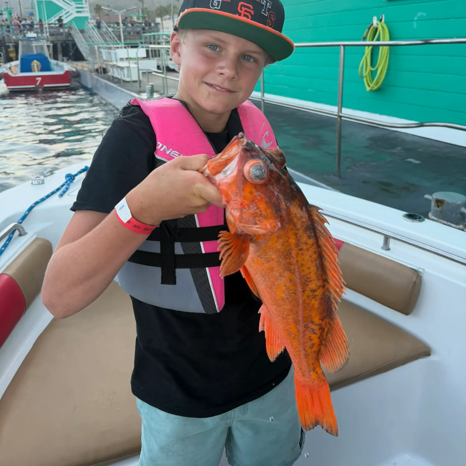 The most recent Vermilion rockfish catches on Fishbrain