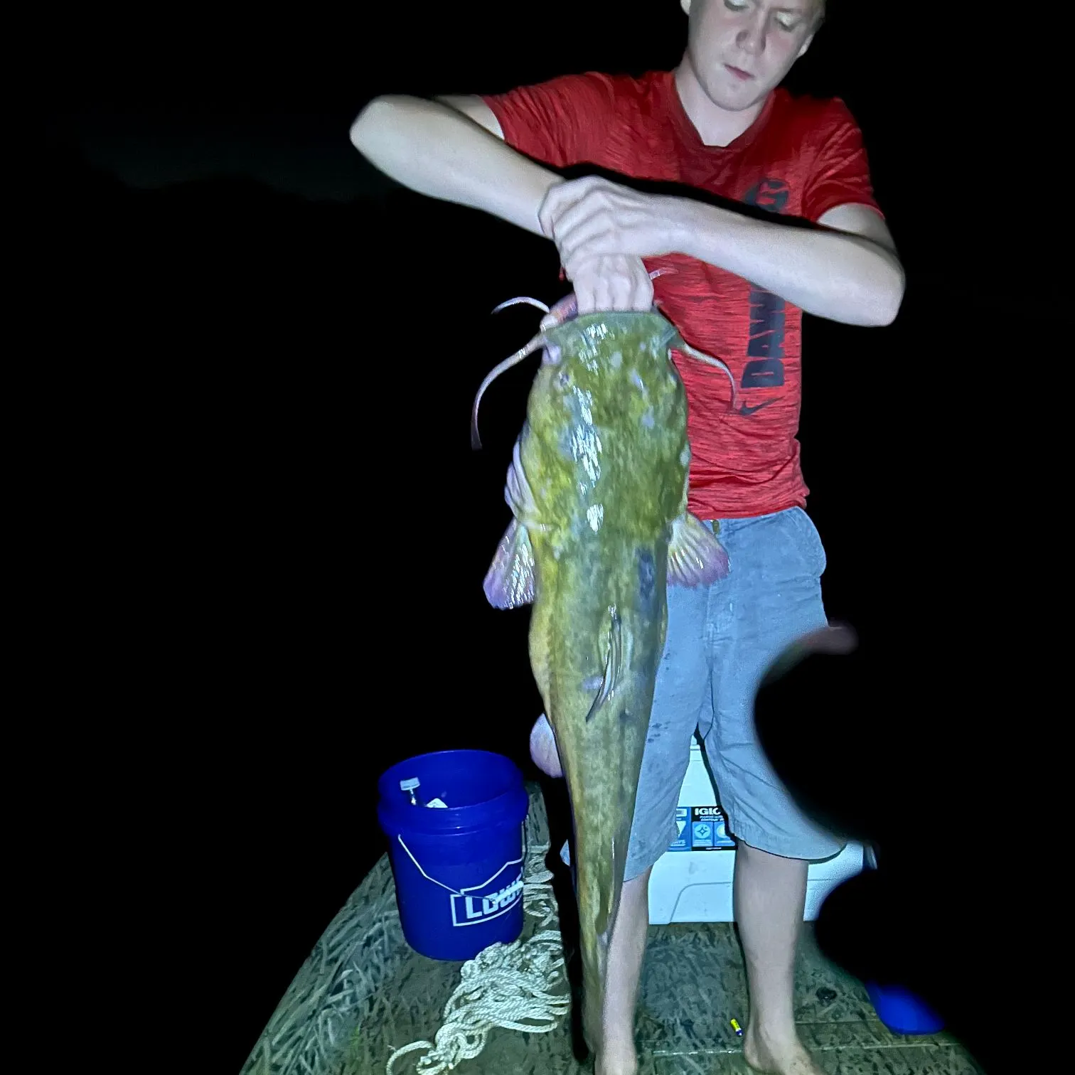 catch