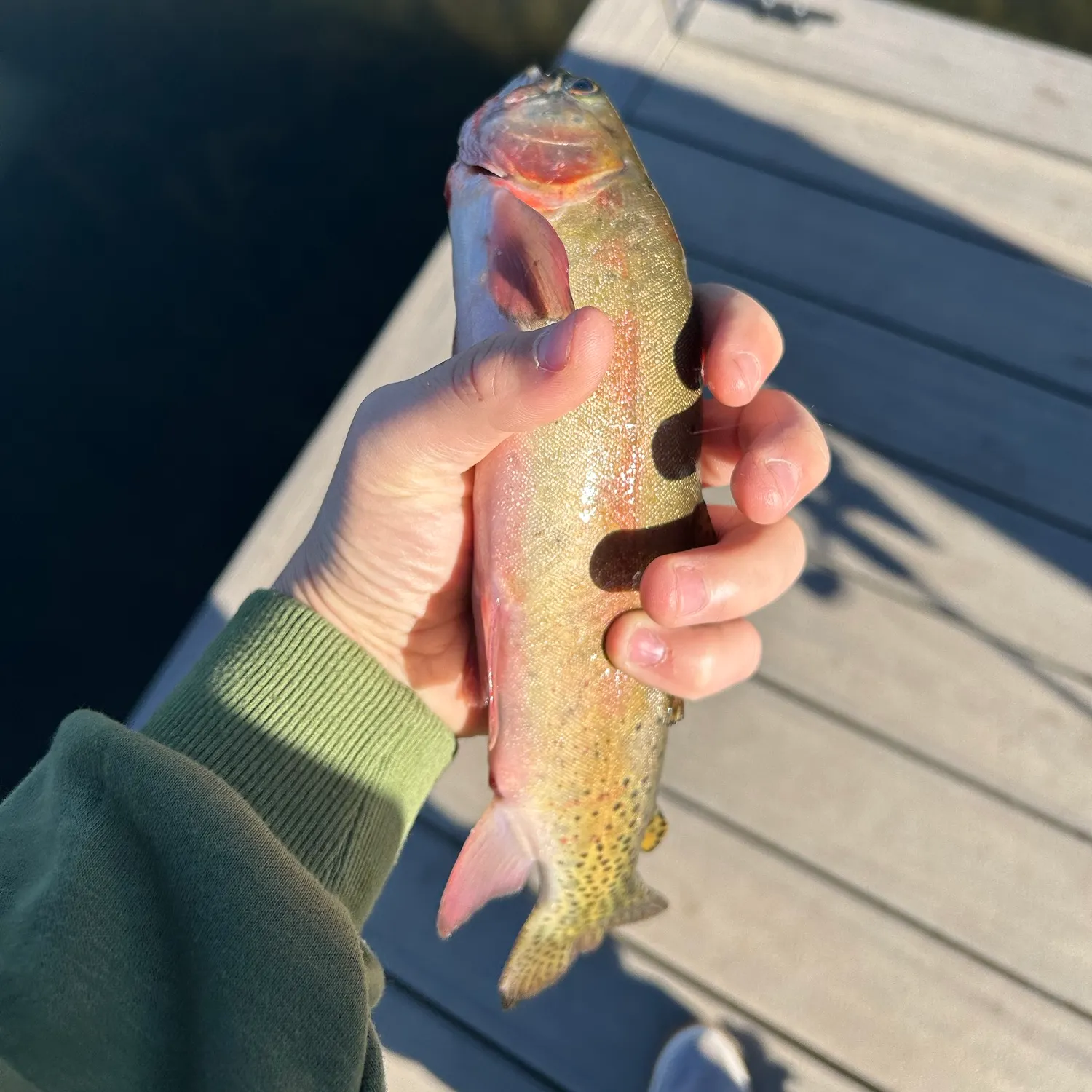Cutthroat trout caught on Fishbrain
