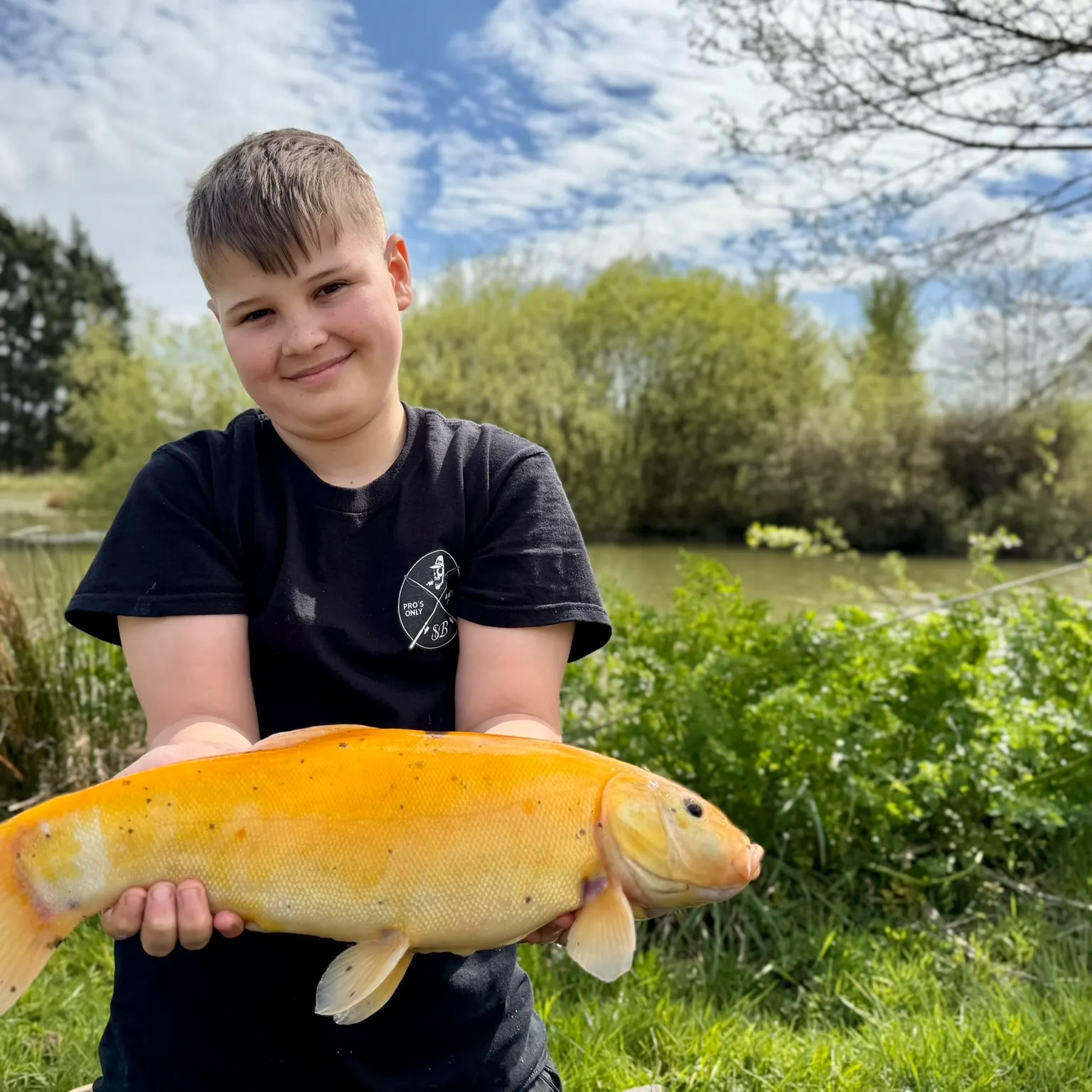The most recent Golden tench catches on Fishbrain