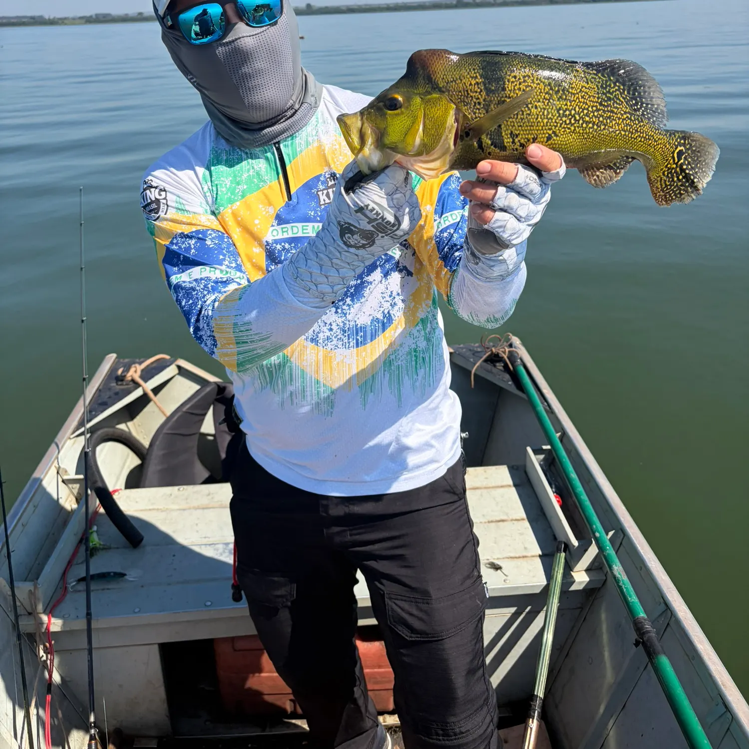 The most recent Kelberi peacock bass catches on Fishbrain