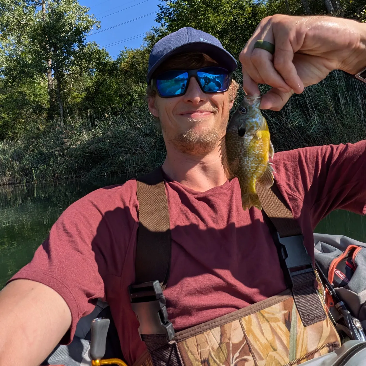Pumpkinseed caught on Fishbrain