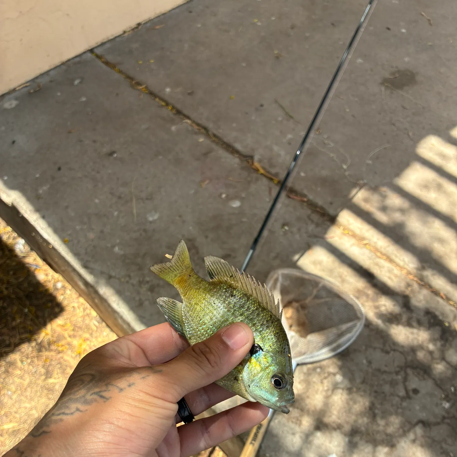 catch