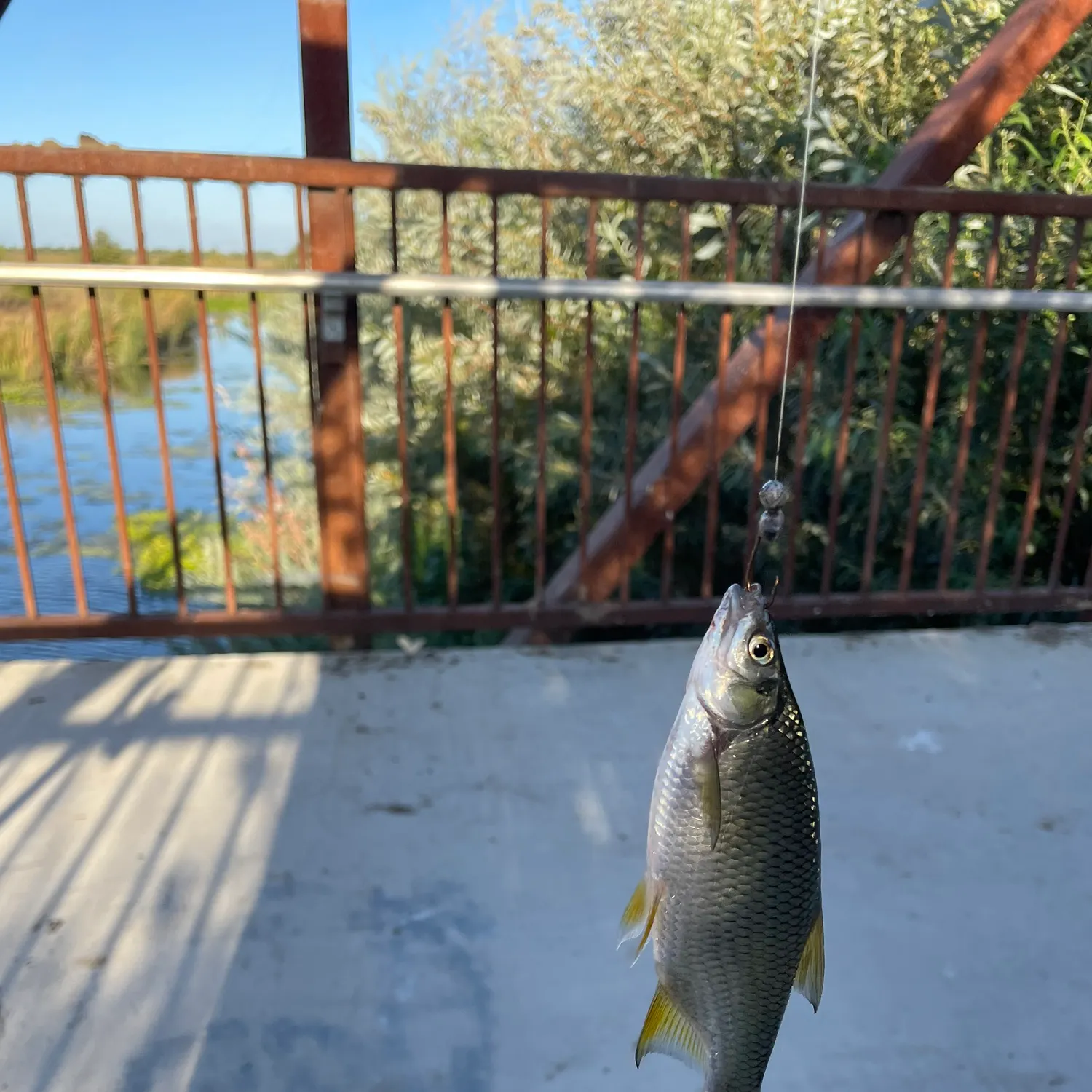 catch