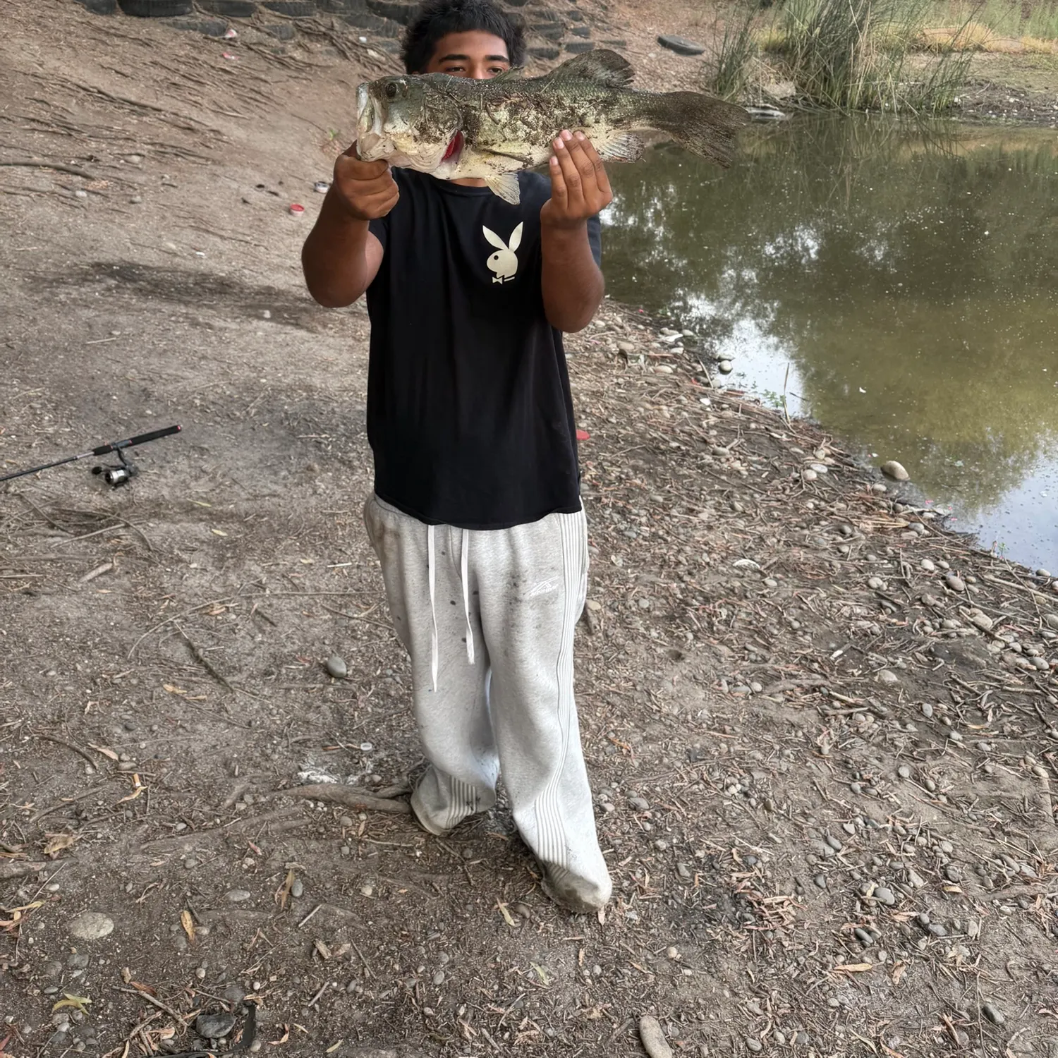 Largemouth bass caught on Fishbrain