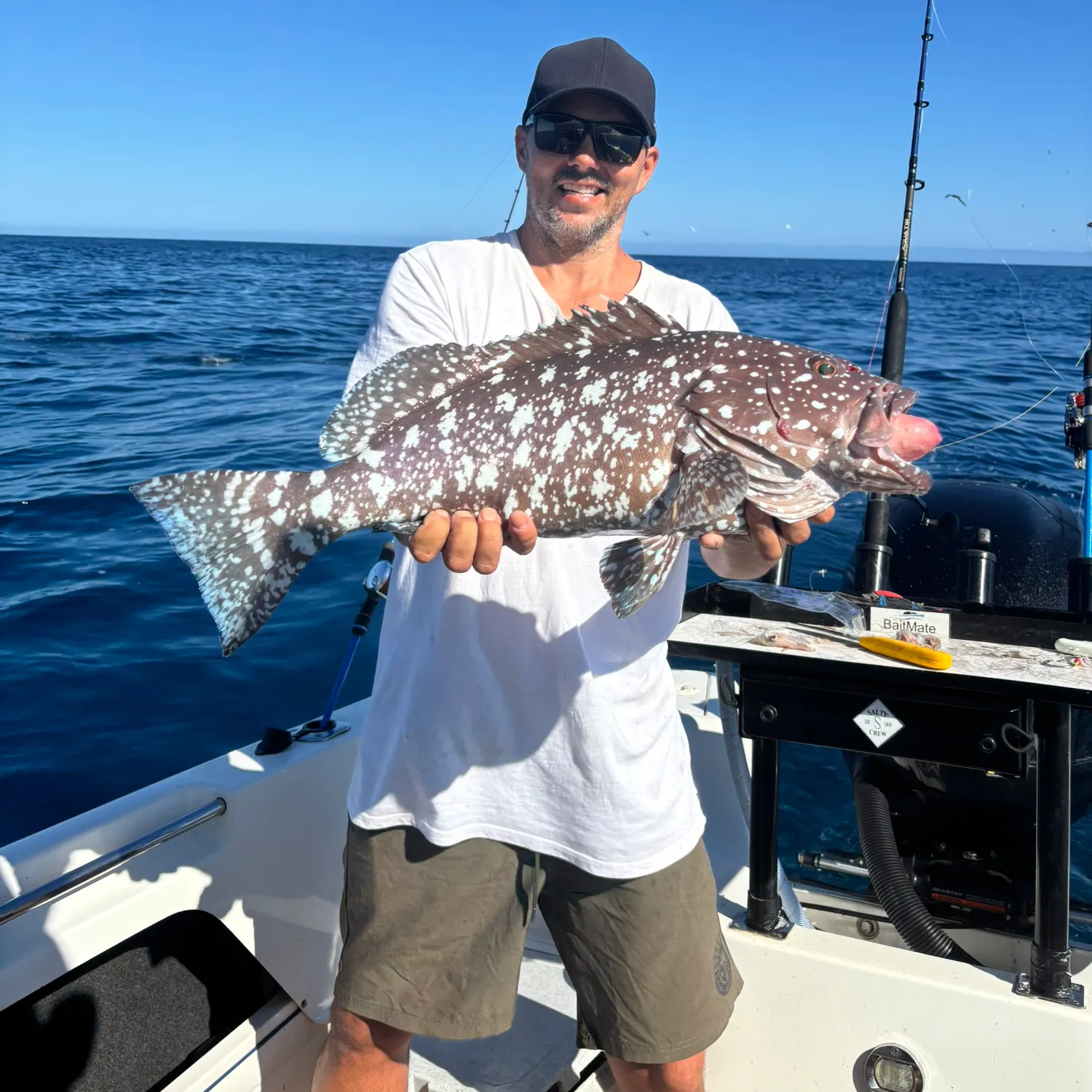 The most recent White-blotched grouper catches on Fishbrain