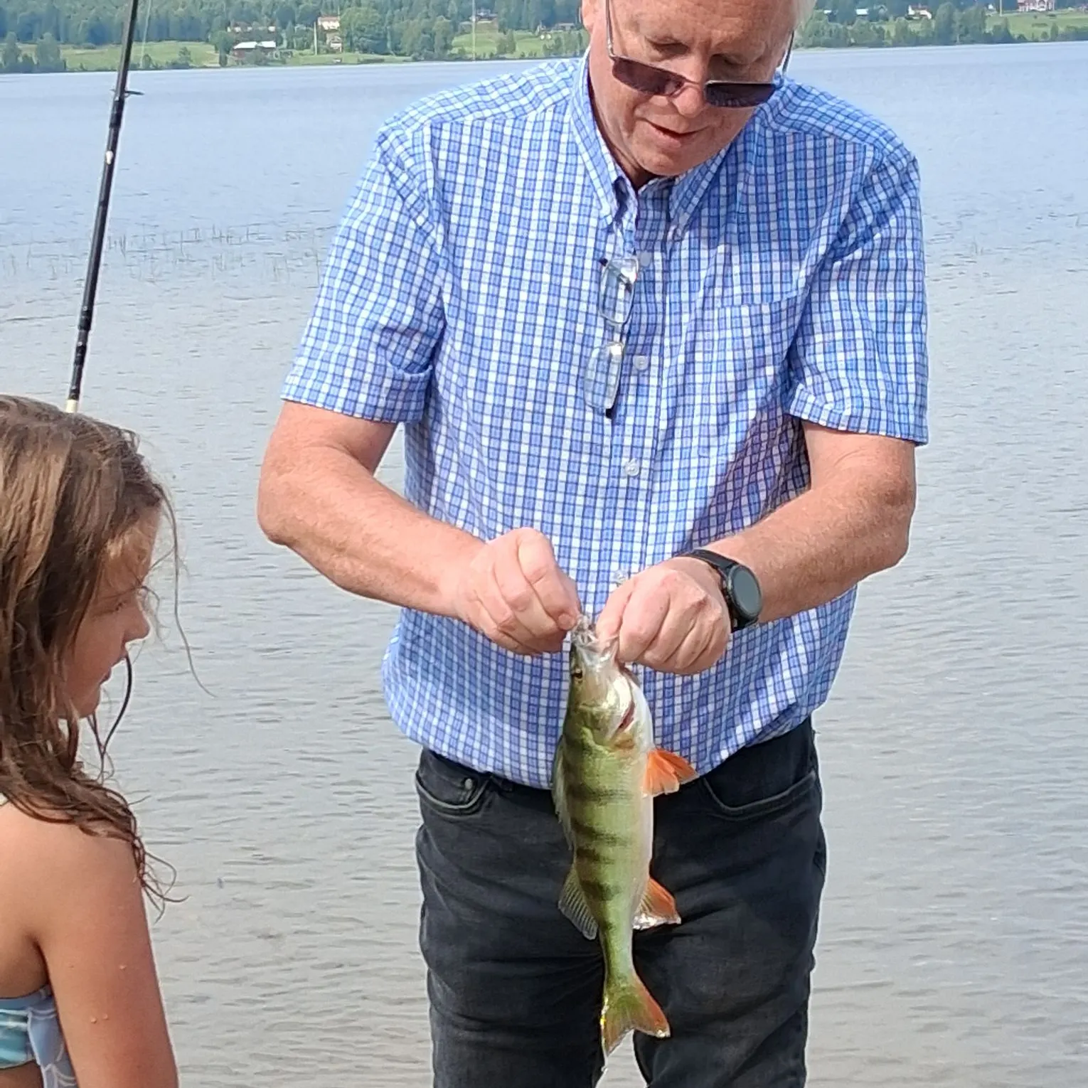 European perch caught on Fishbrain