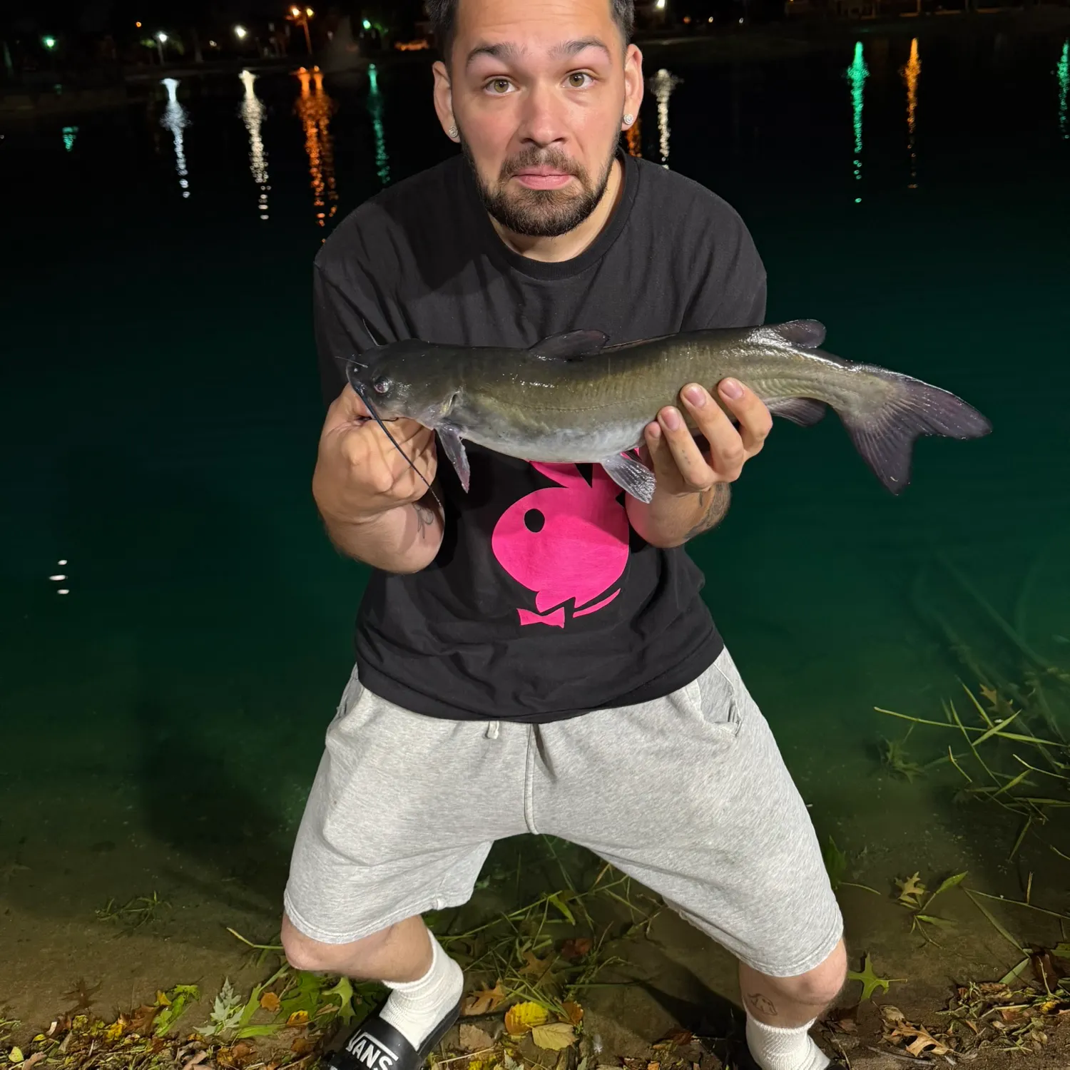 Channel catfish caught on Fishbrain