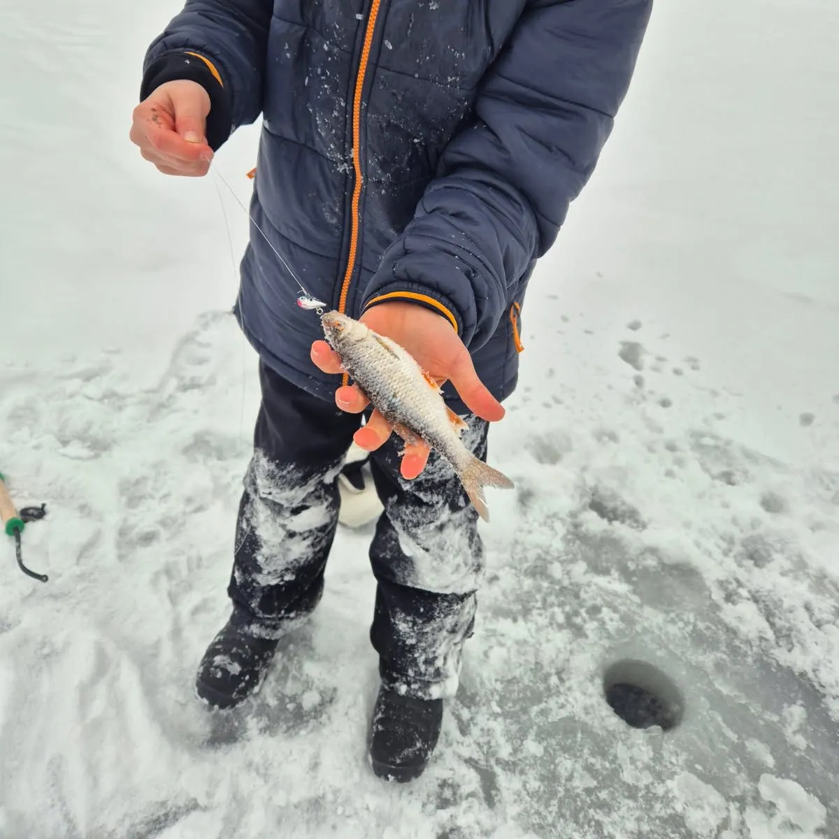 The most recent White bream catches on Fishbrain