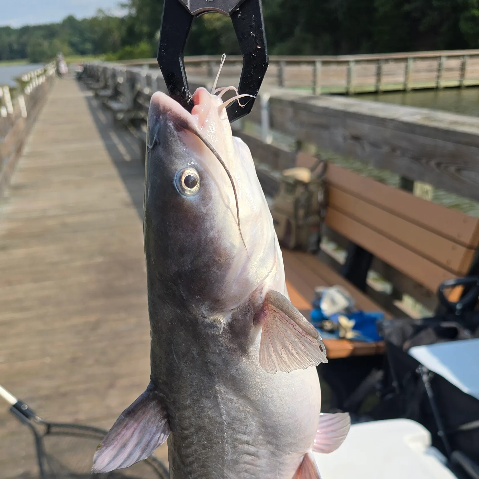 catch