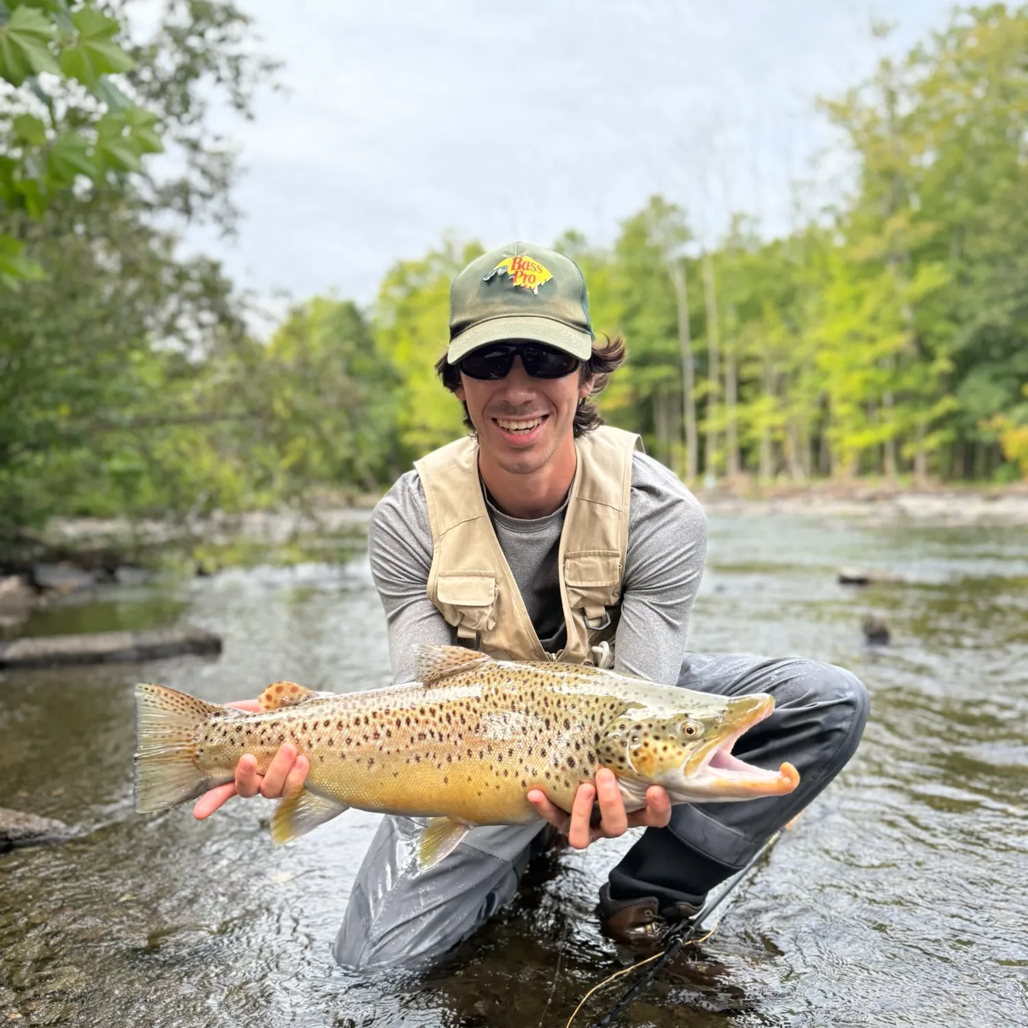 Brown trout caught on Fishbrain
