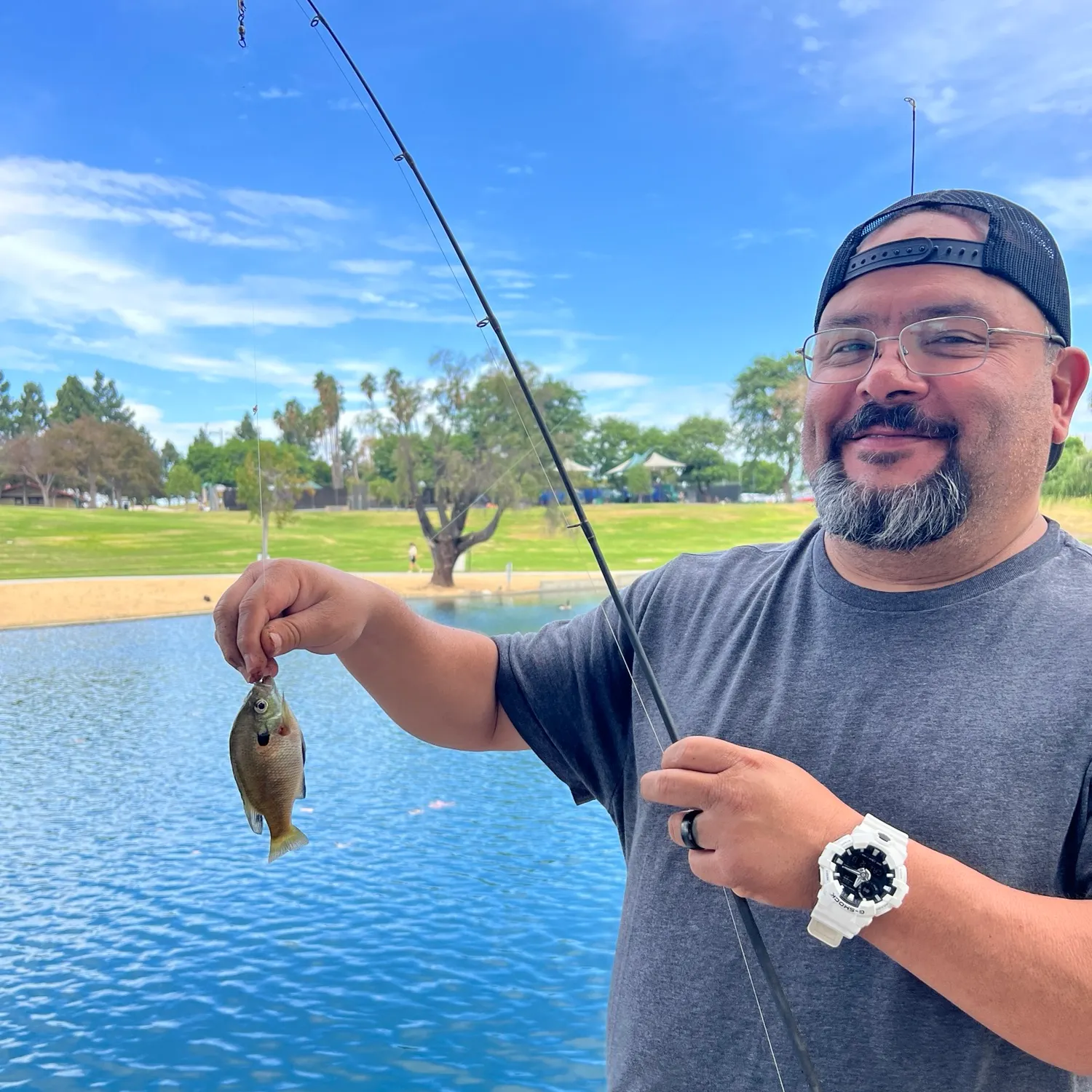 Bluegill caught on Fishbrain