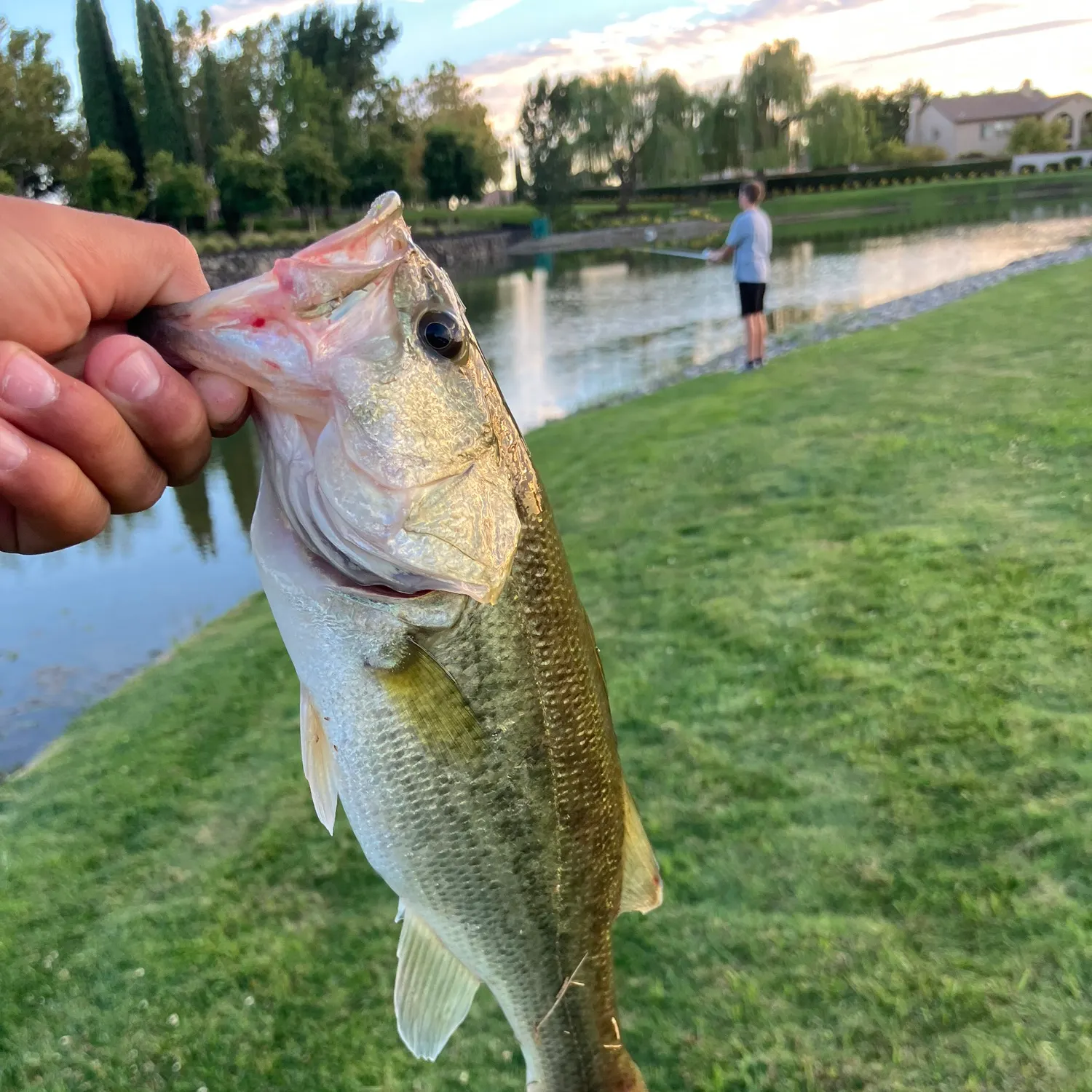 catch