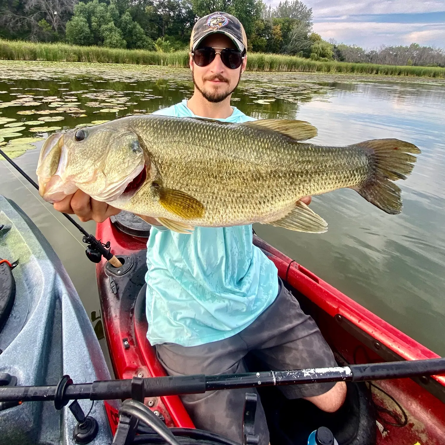 Largemouth bass caught on Fishbrain