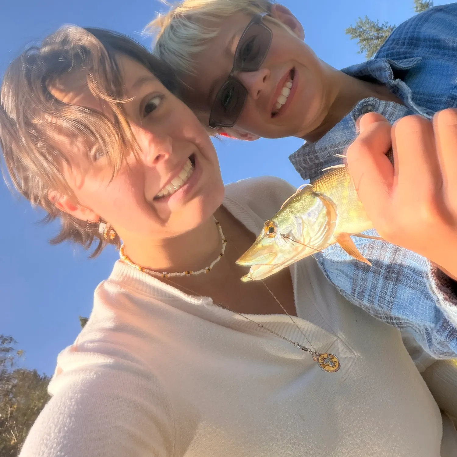 Northern pike caught on Fishbrain